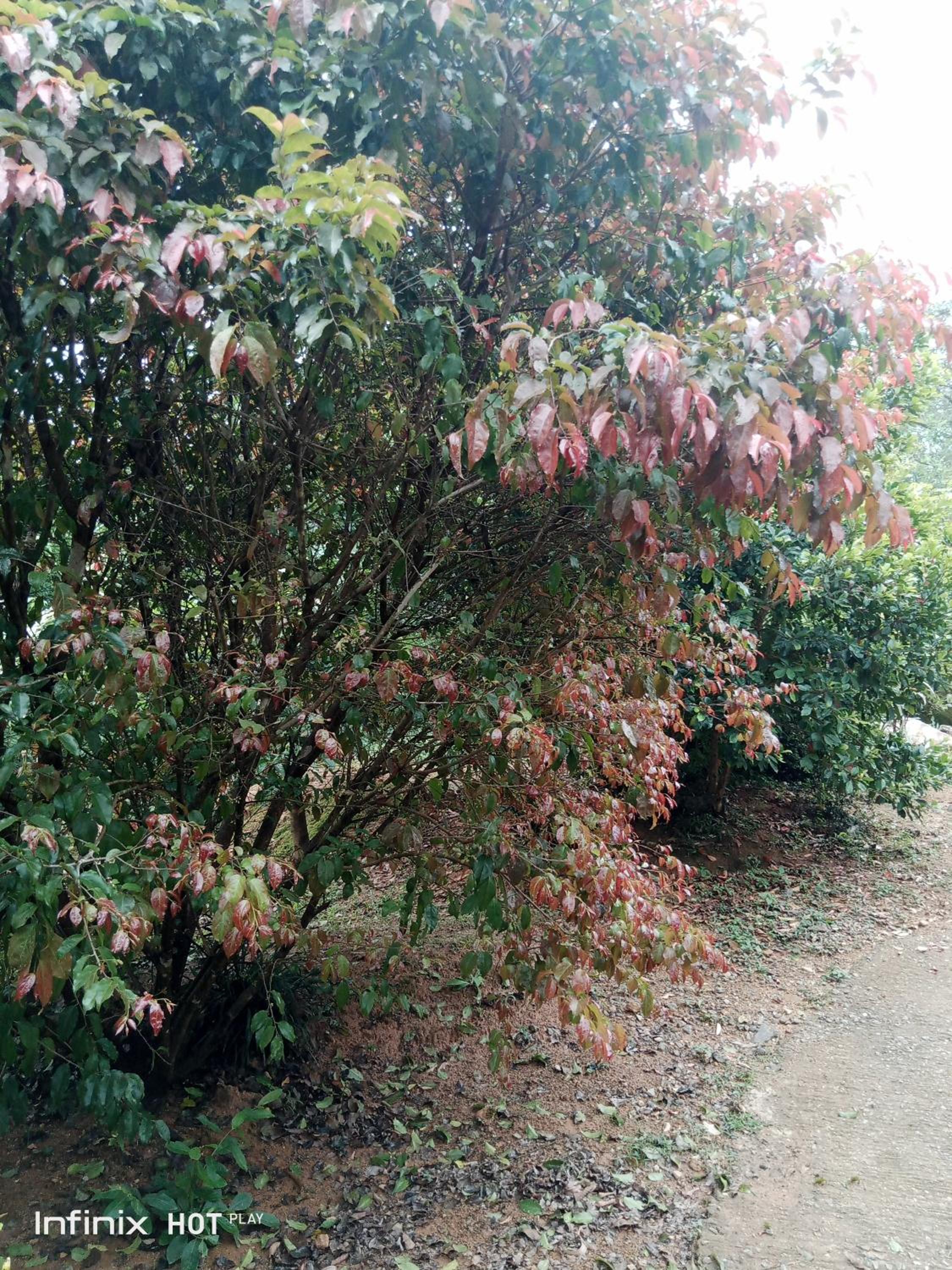 Photo 23