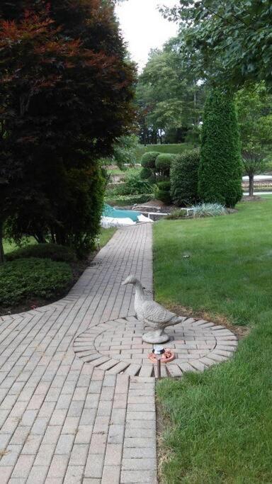 Portage Lakes Serenity view 5