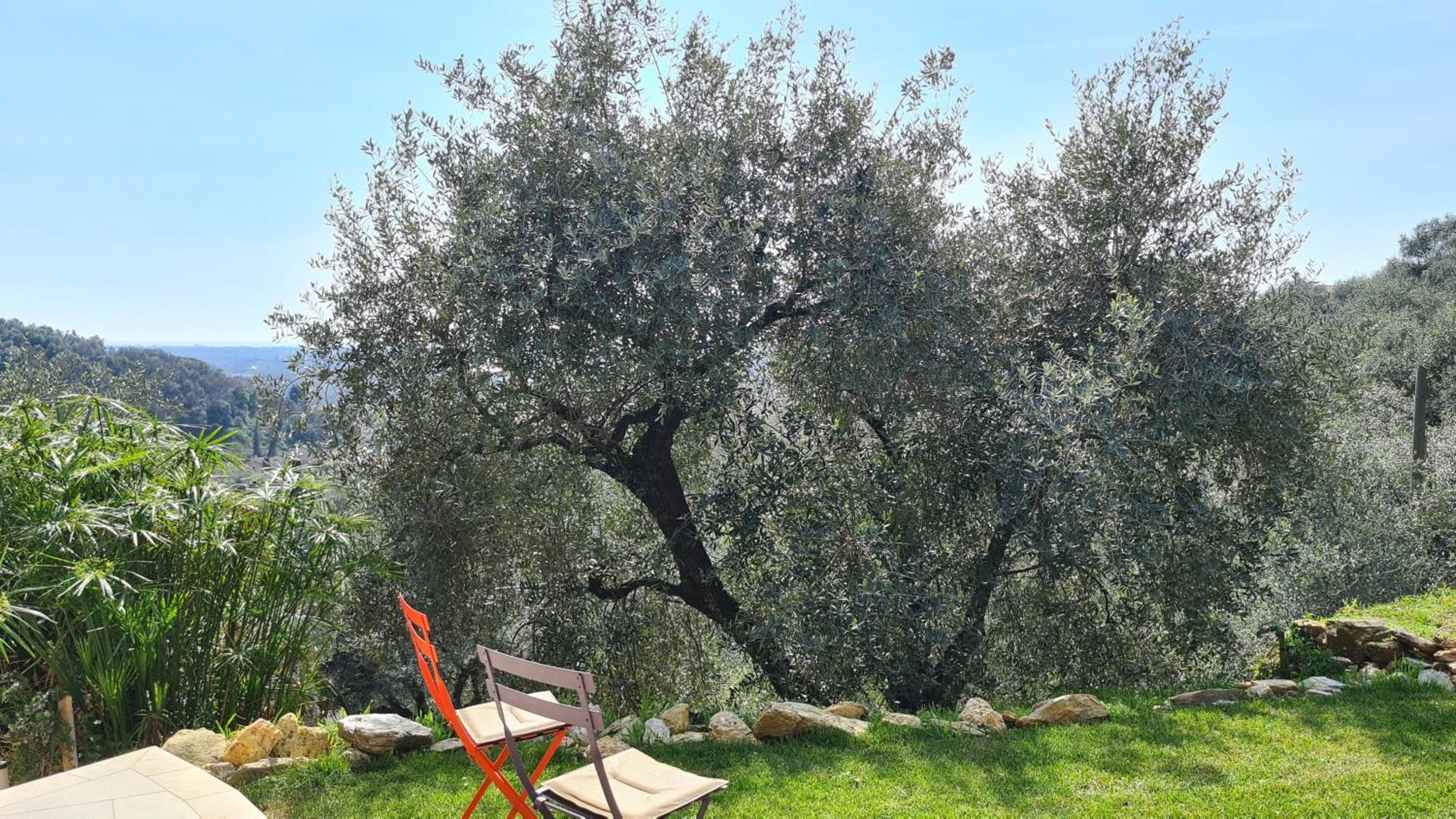 Villa Olivemare B&B