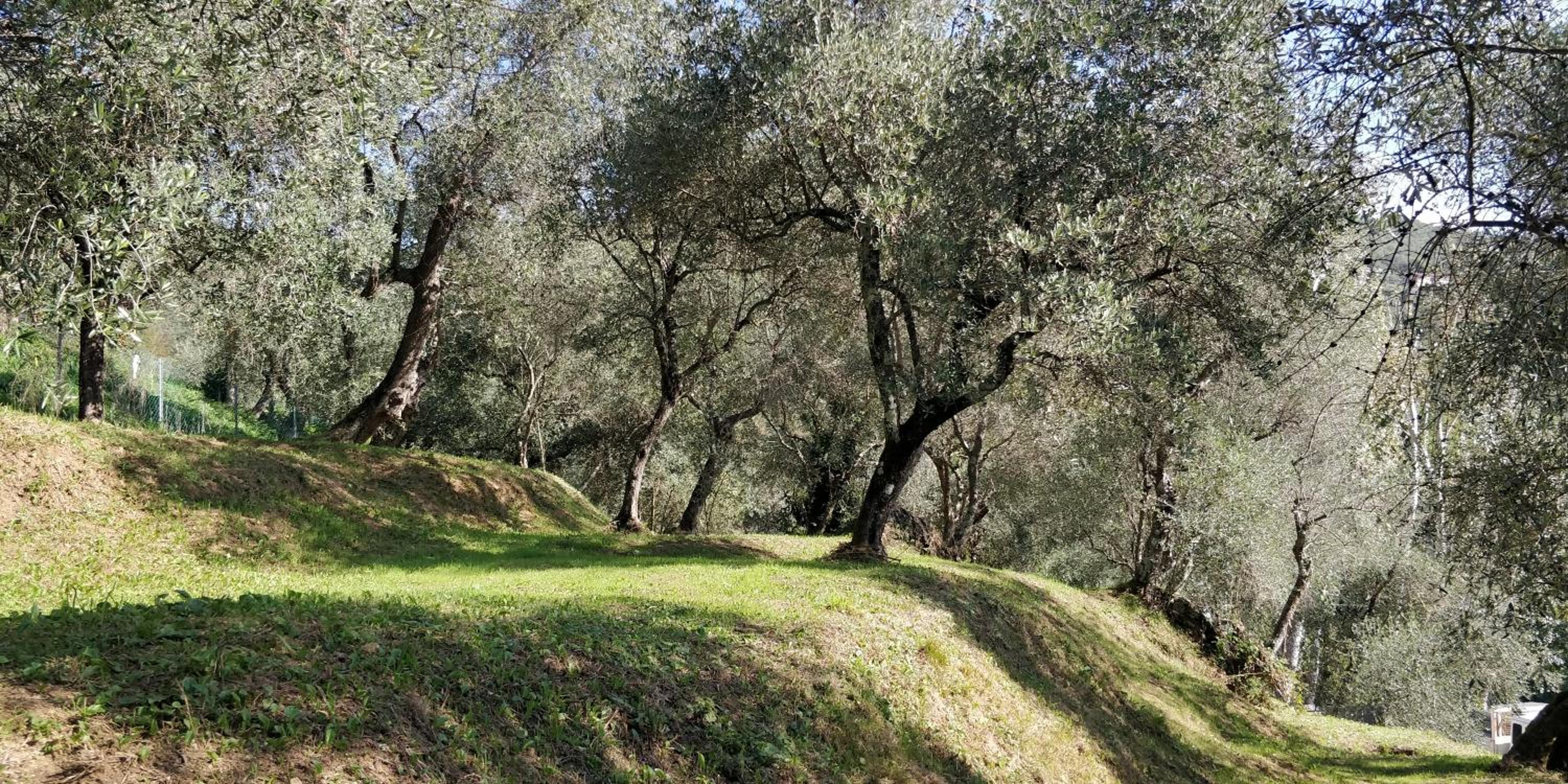 Villa Olivemare B&B