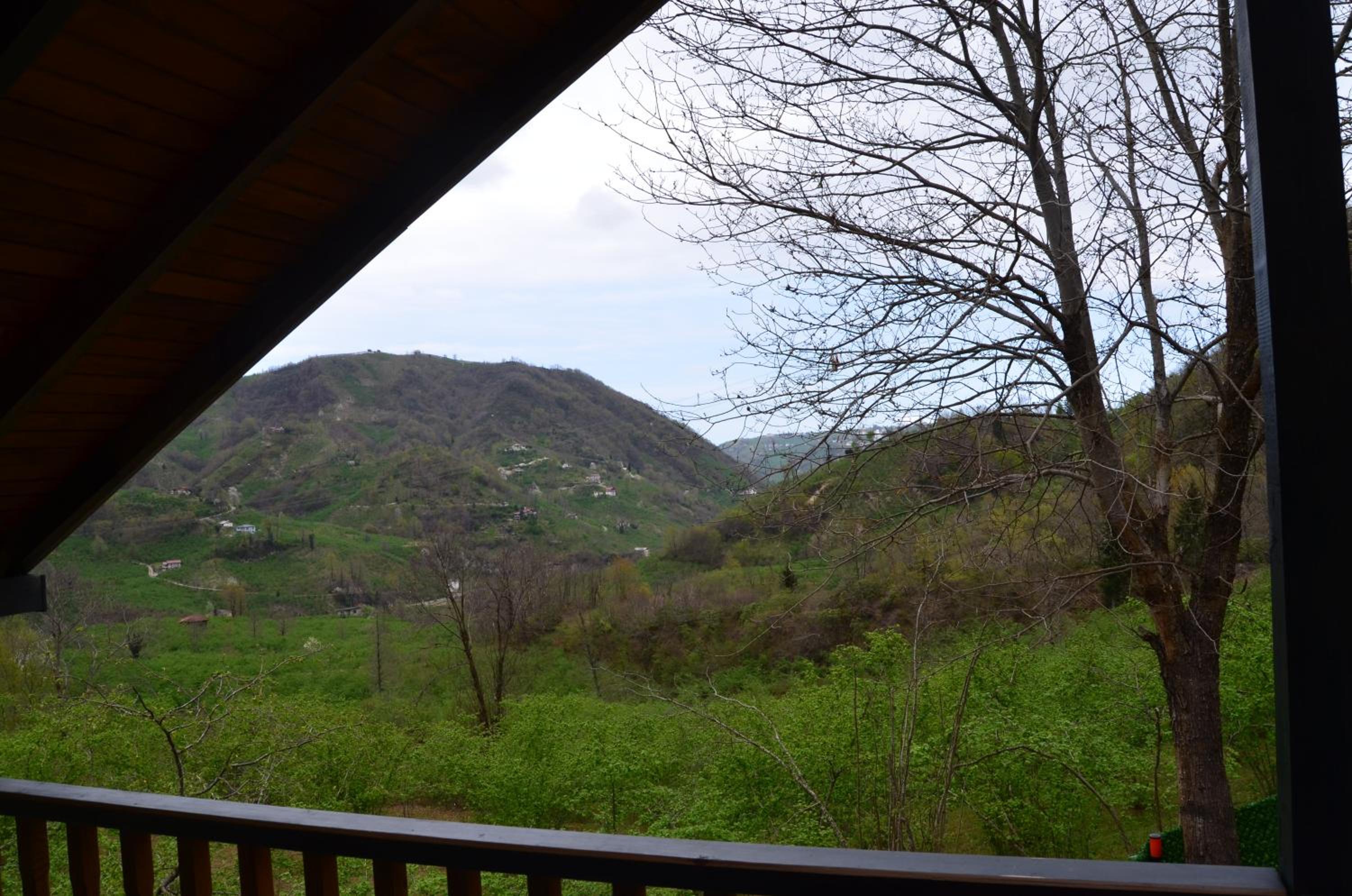 Bigoşa Bungalov