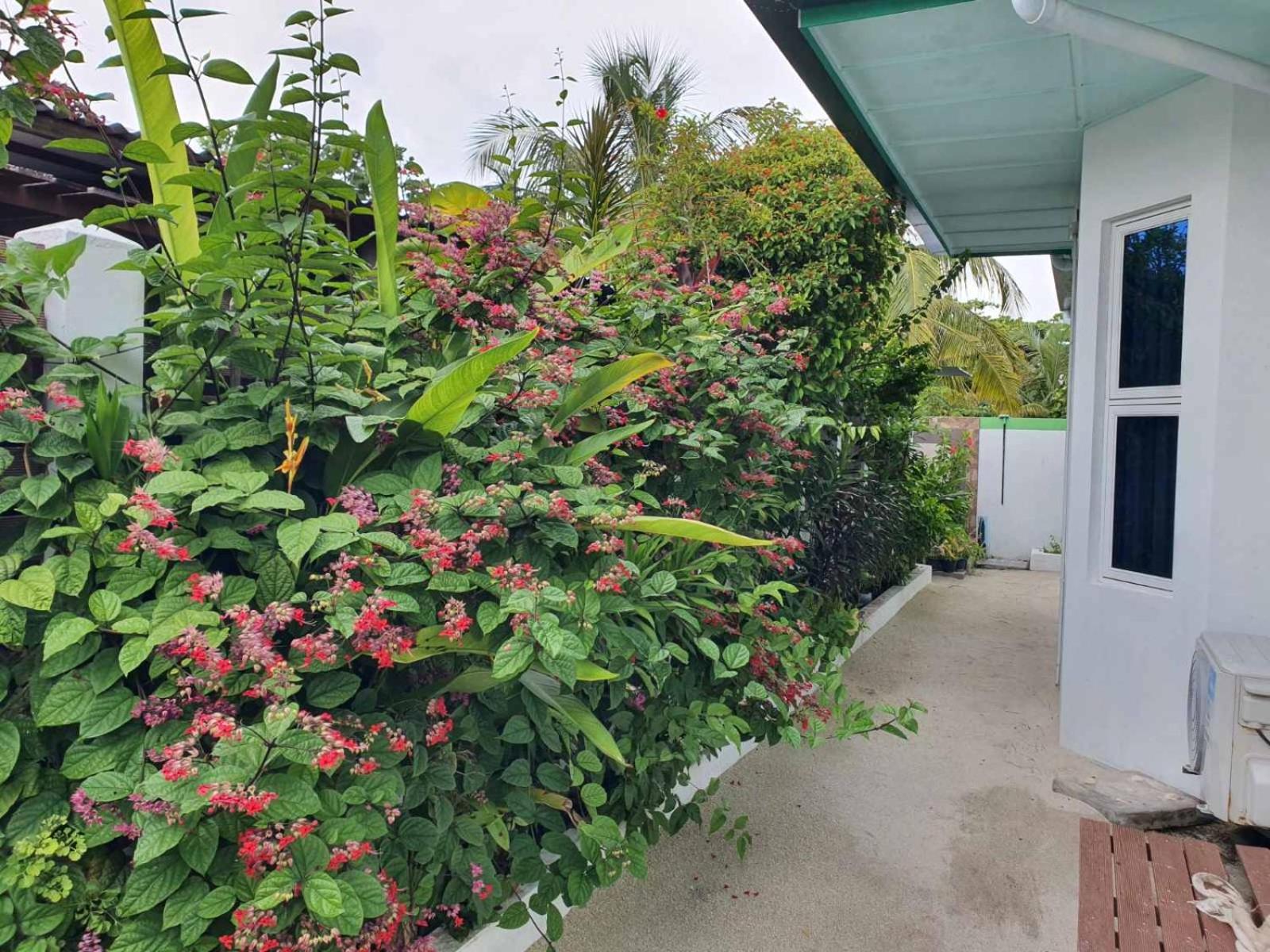 Utheemu Bahaaru Inn