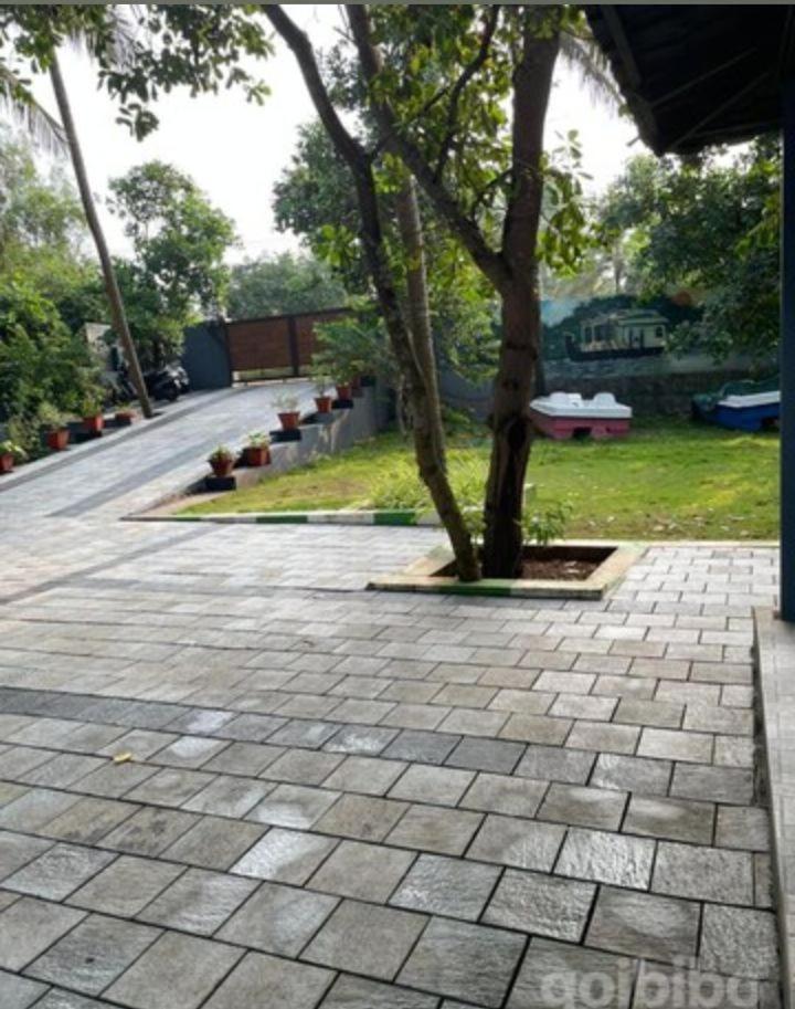 The Vibe Resort view 3