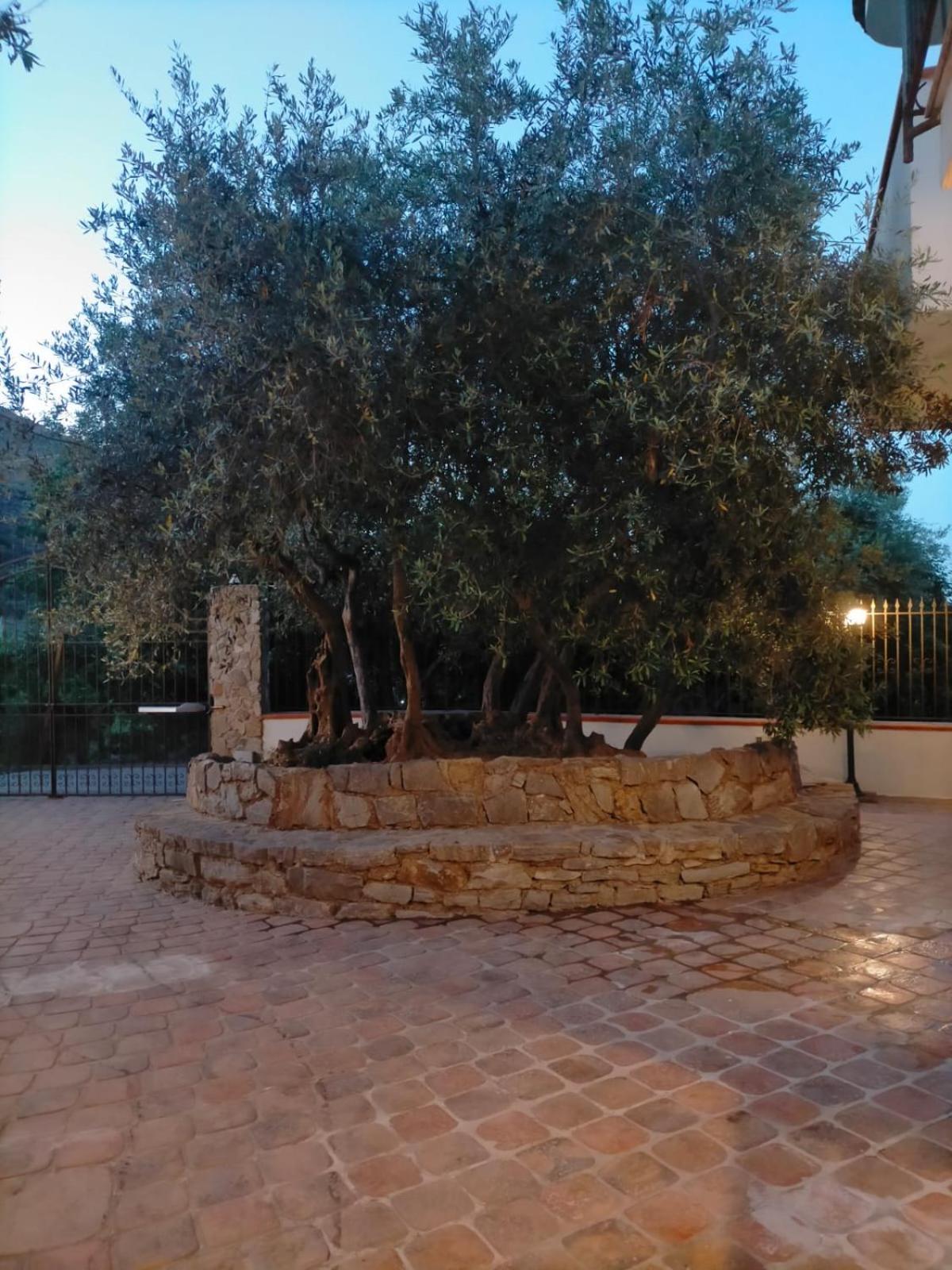 Photo 51