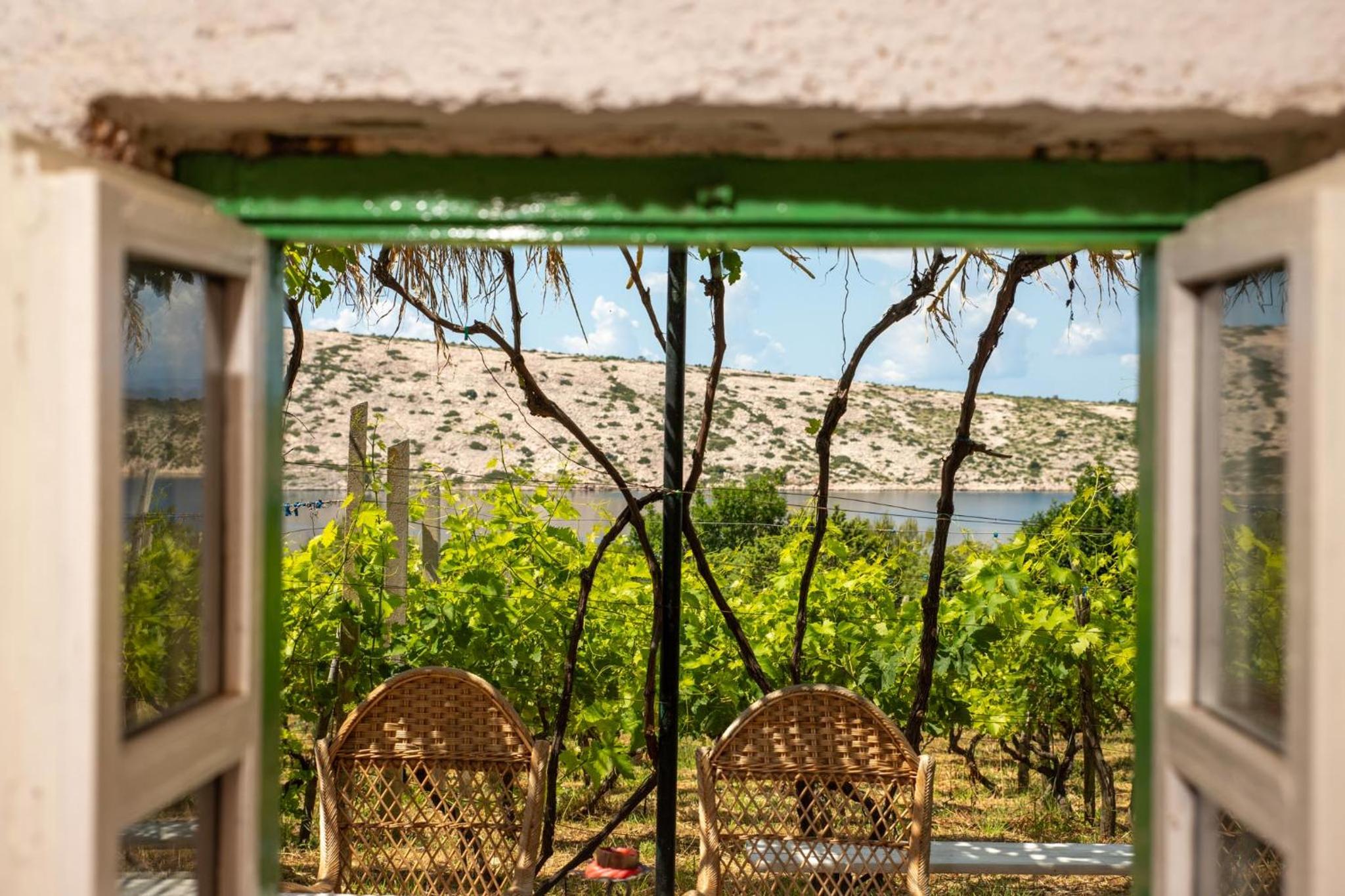 Private Vineyard House