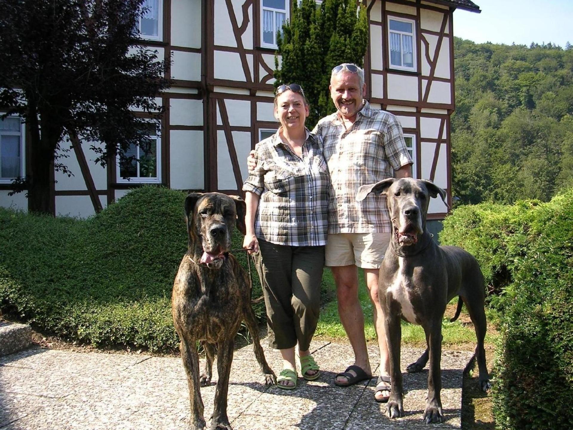 Der Falkenhorst