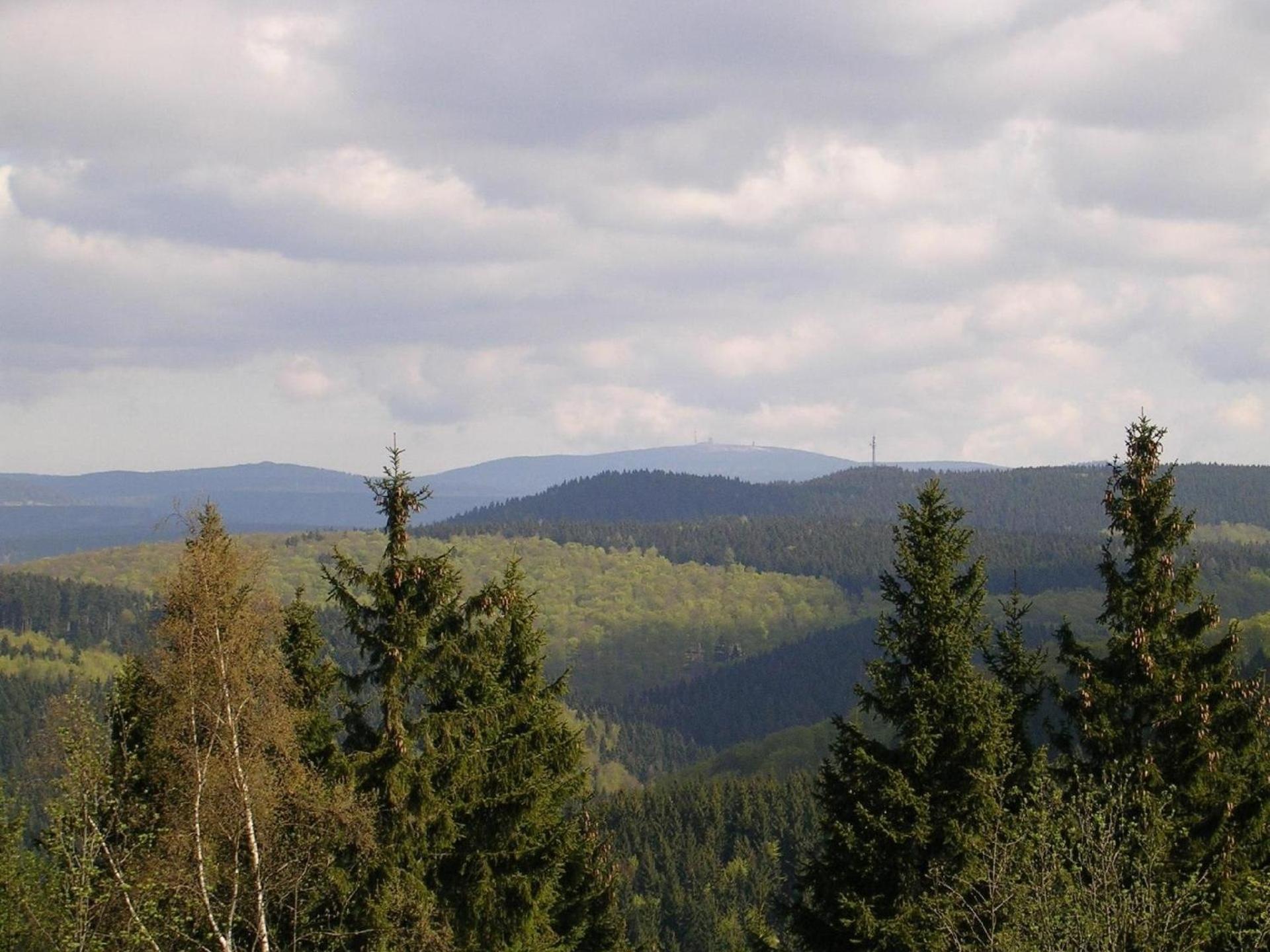 Der Falkenhorst