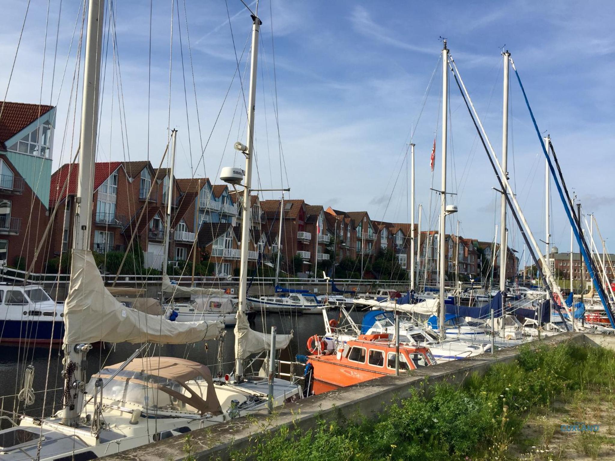 Marina Blick