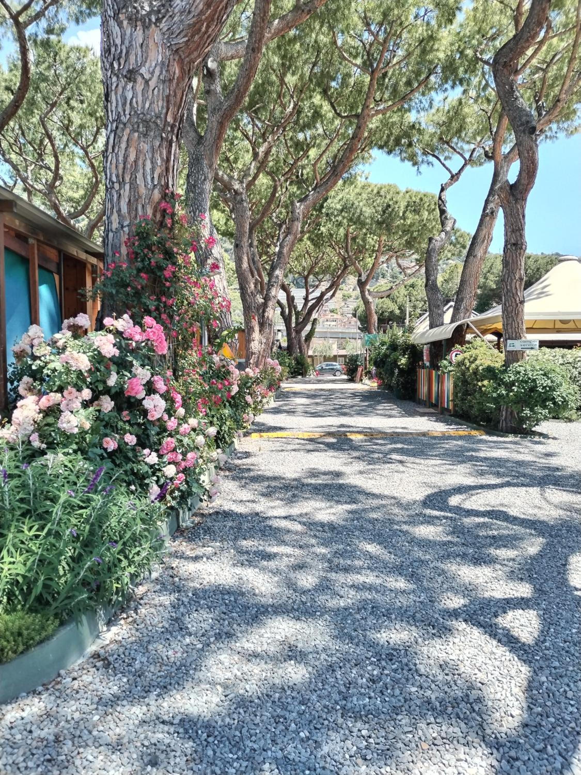 Camping Roma view 2