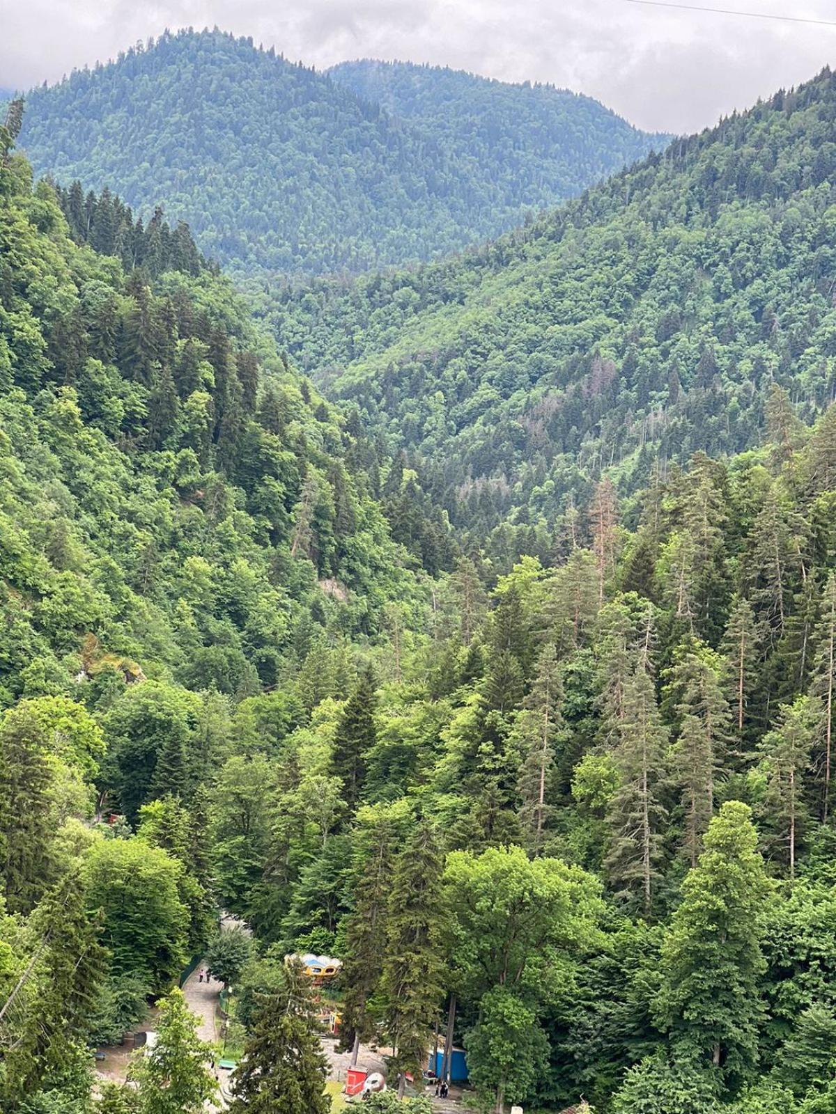 Borjomi inn Cottages