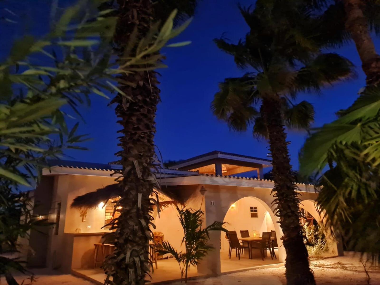 13 Palm Tree