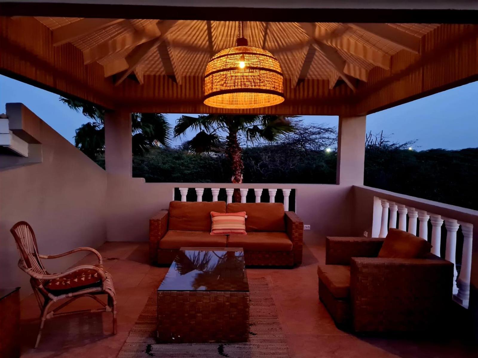 13 Palm Tree