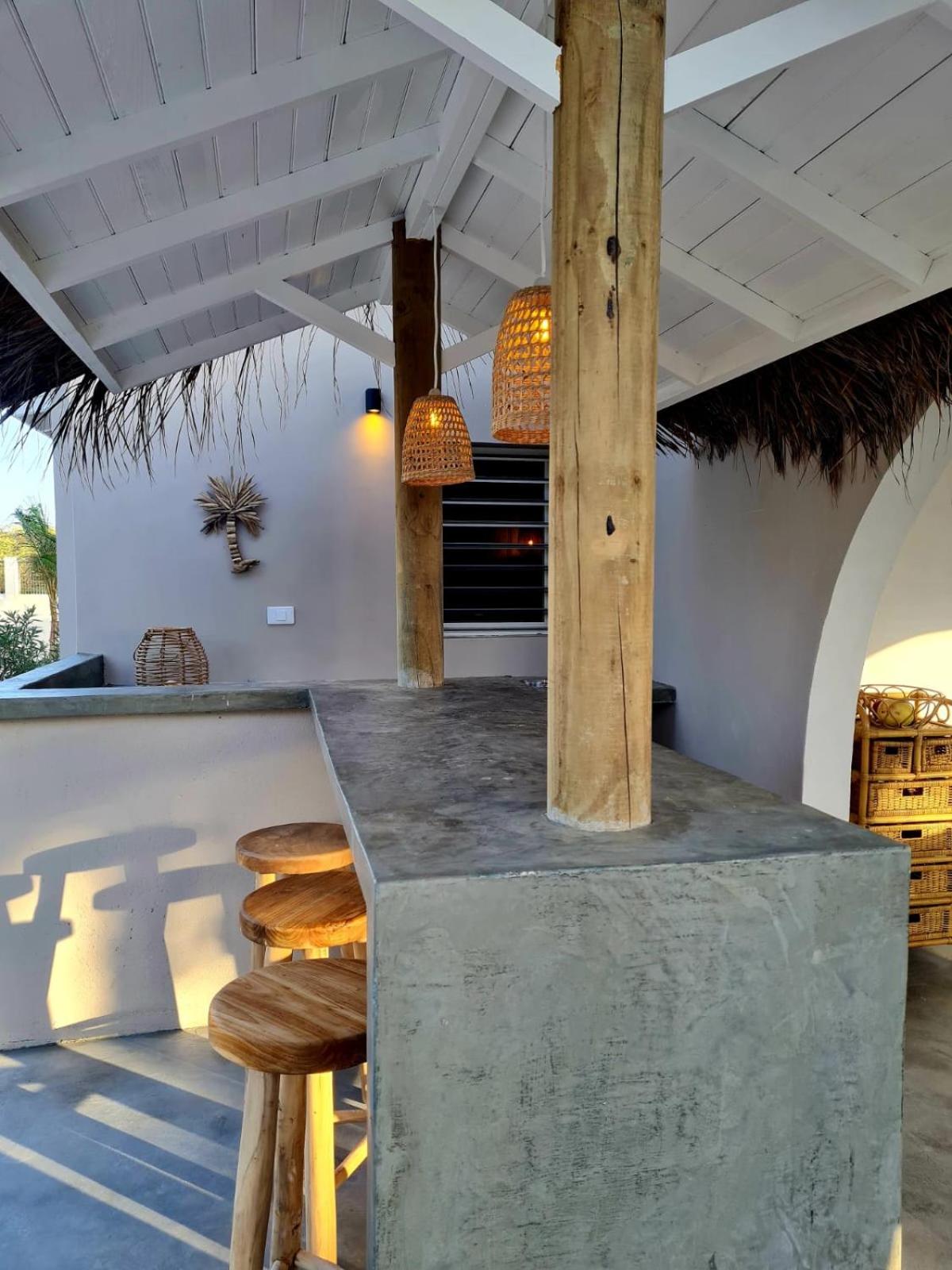 13 Palm Tree