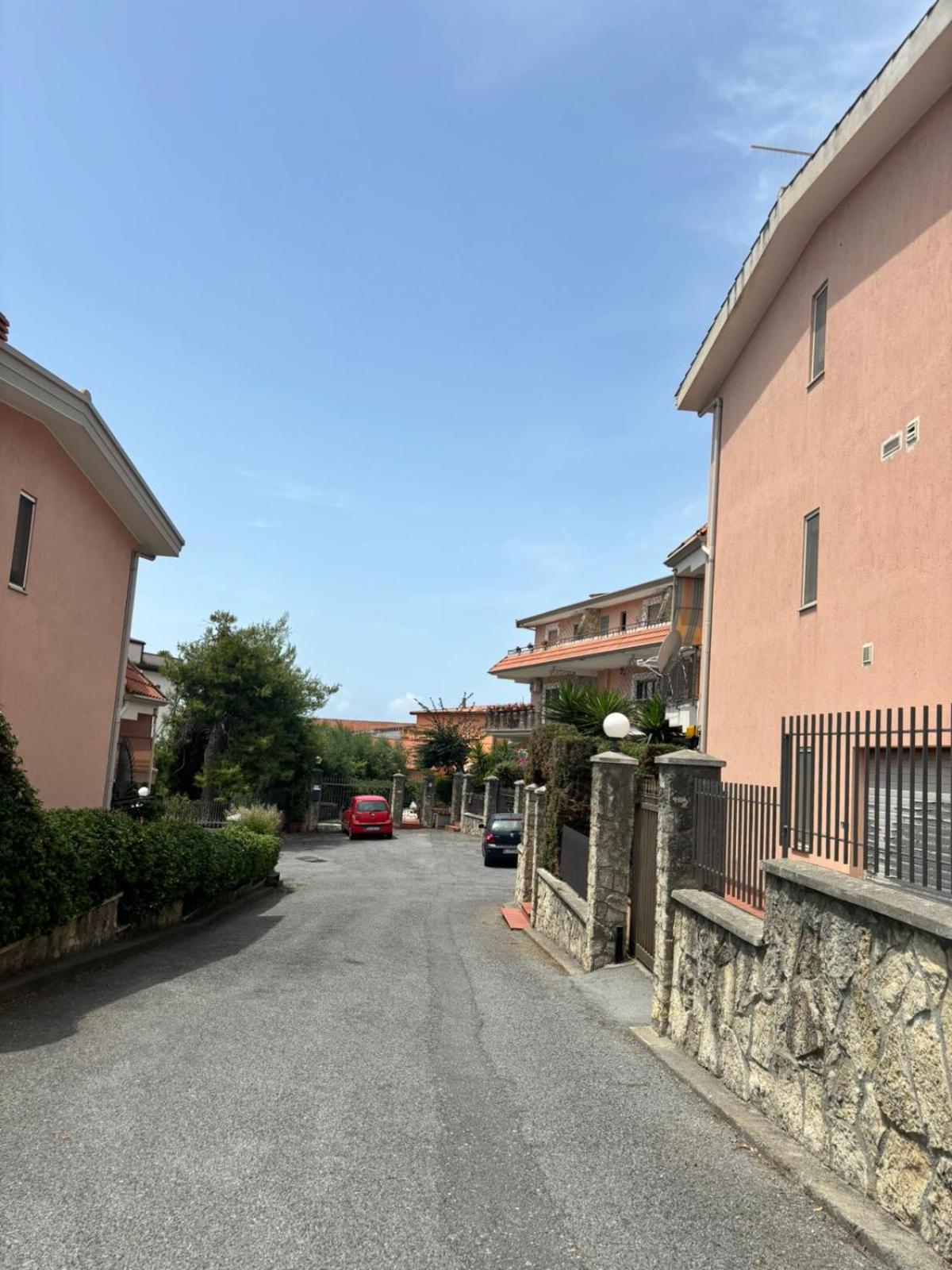 I delfini view 5