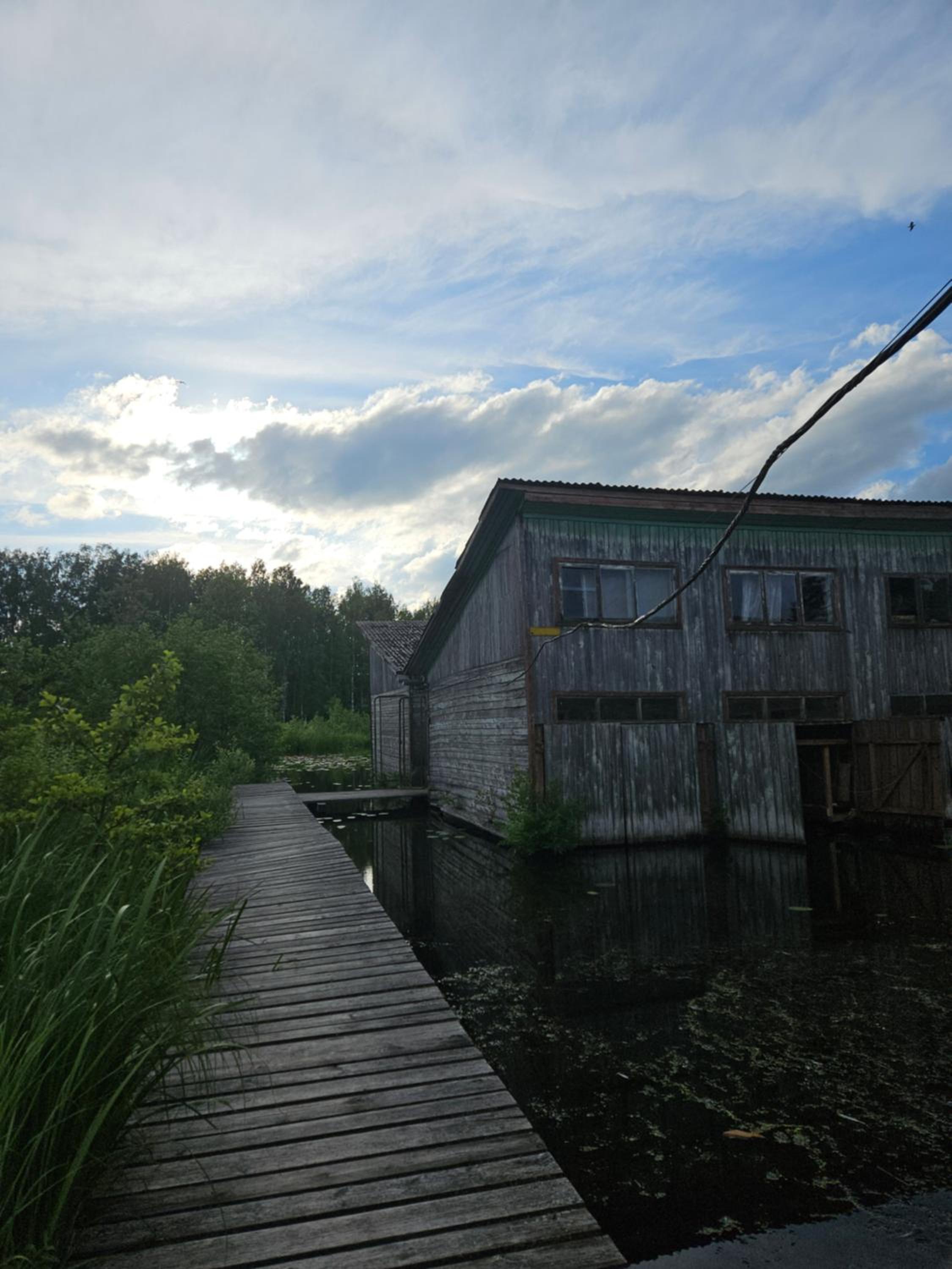 Photo 7