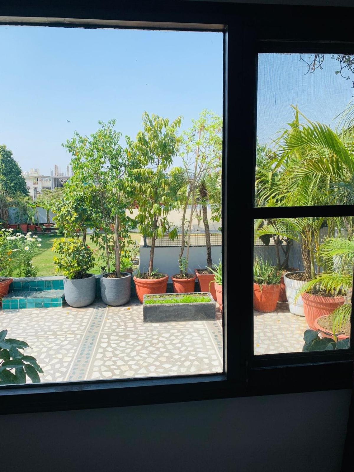 Vandana's Bed and breakfast view 3