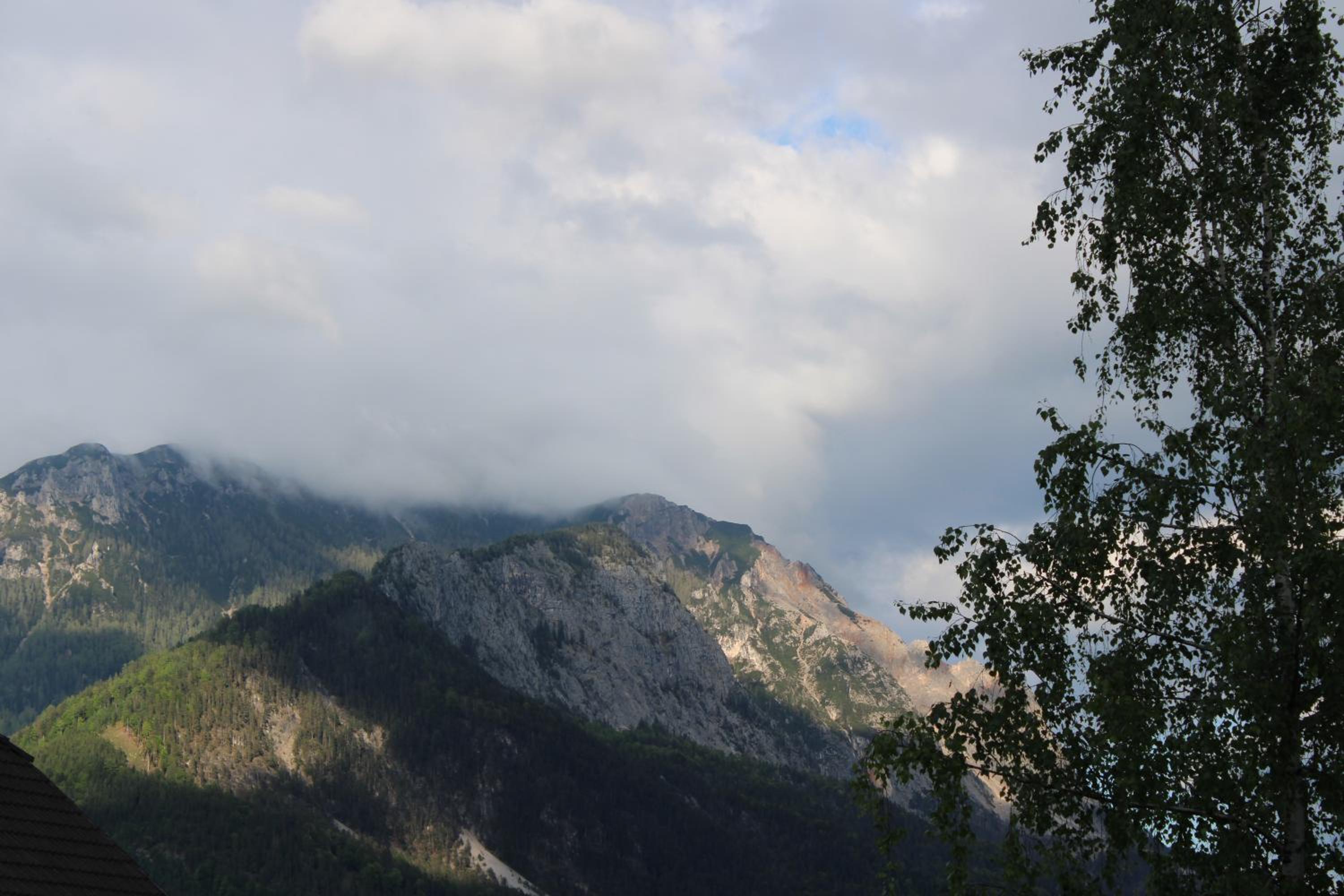 Appartment Herzblick