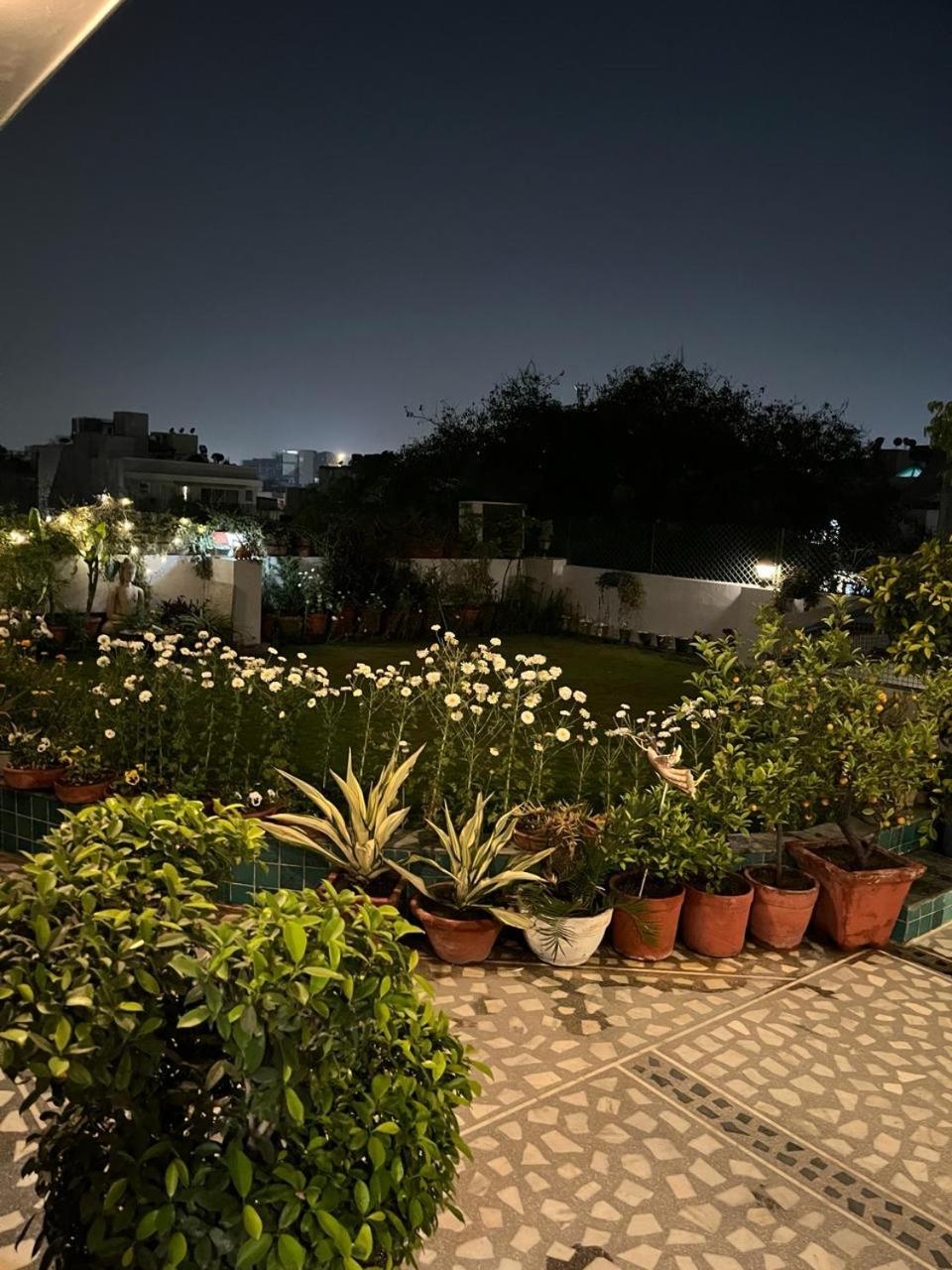 Vandana's Bed and breakfast view 2