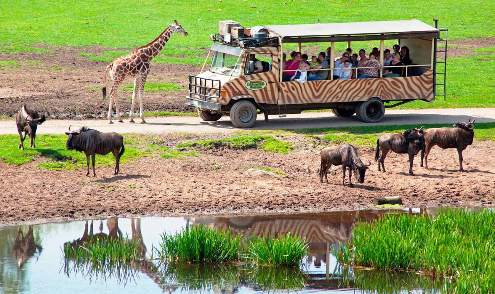 Serengeti Park Resort