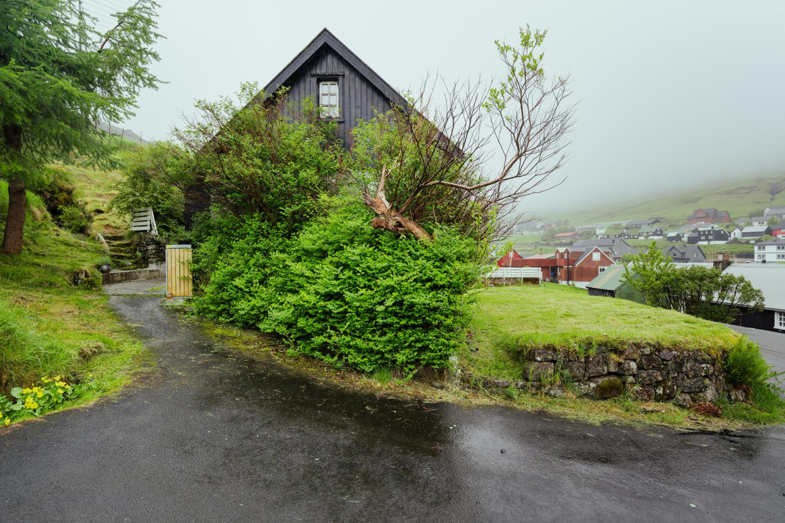 Calm & Cozy / Scenic Village / Nature view 5