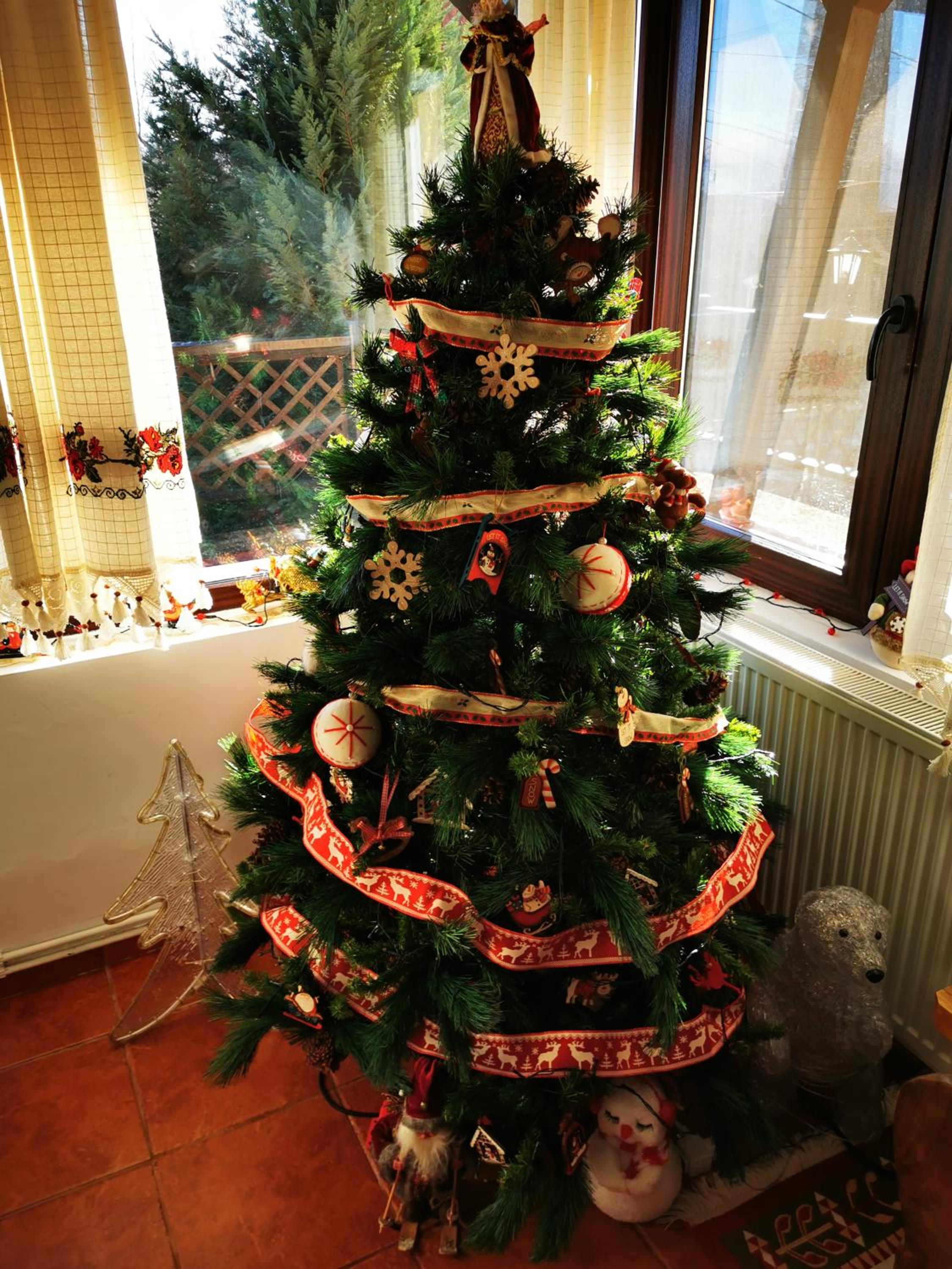 Photo 51