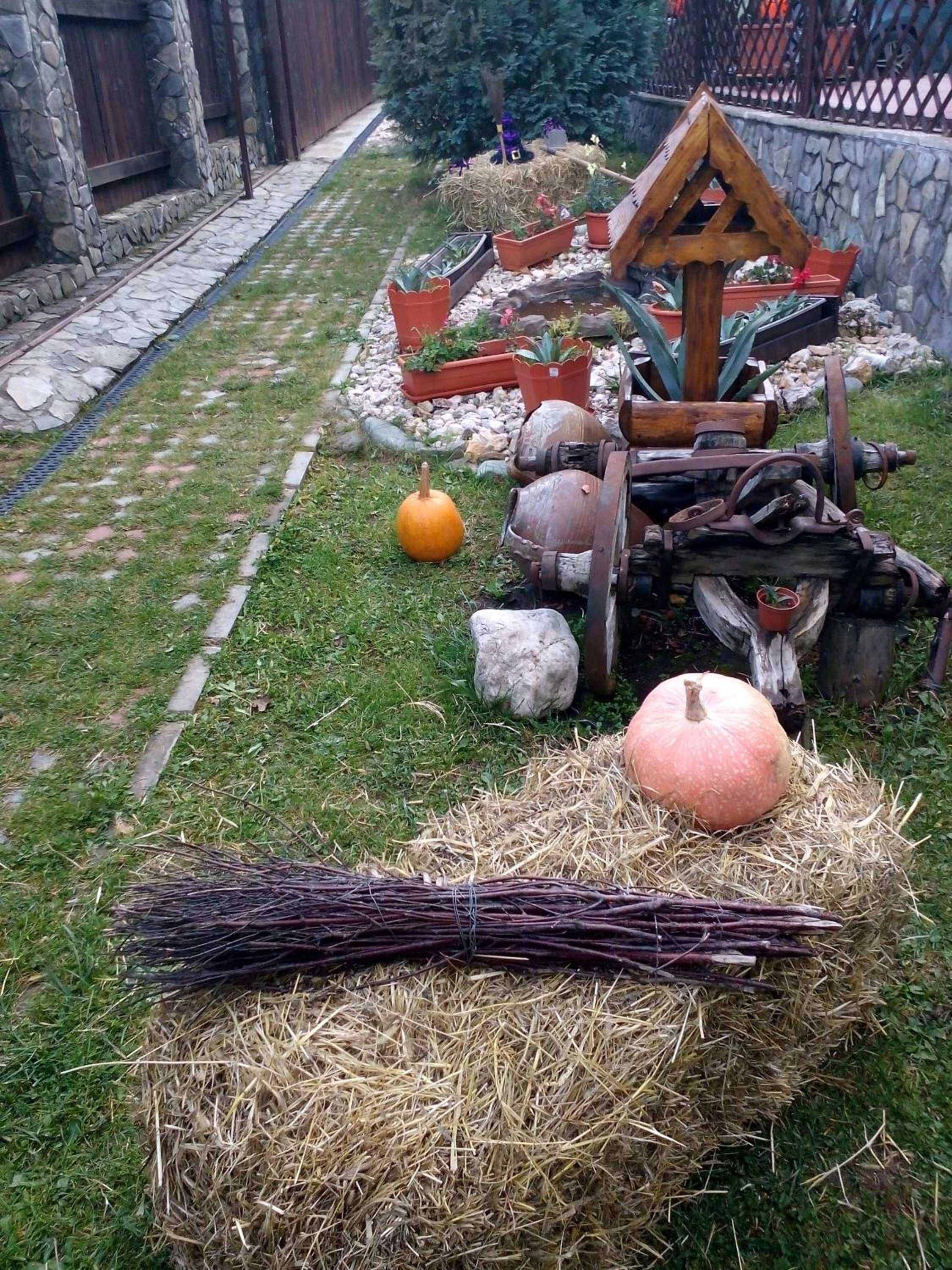 Photo 43