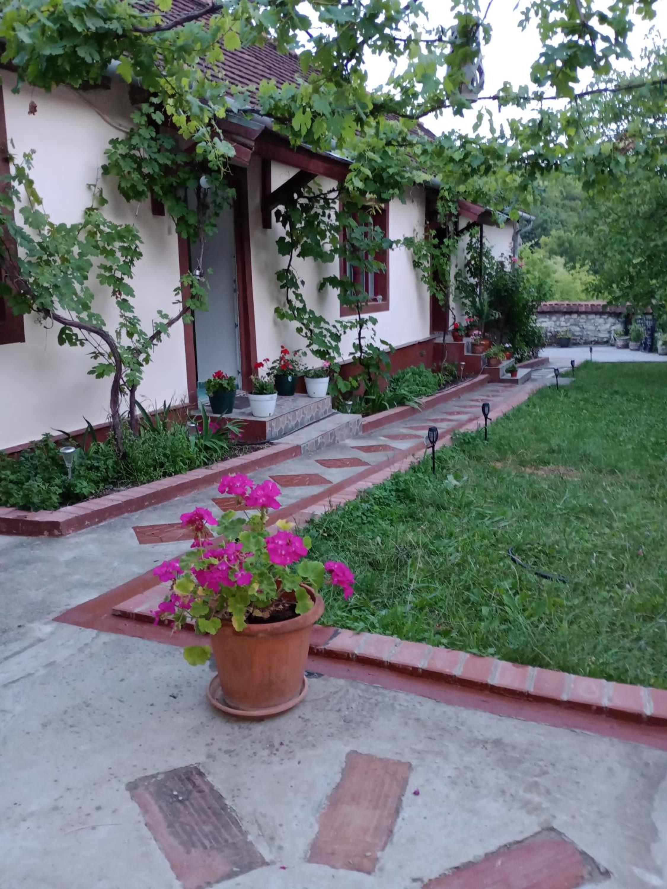 Casa Dragoi din Socolari, 218, Caras - Severin view 5