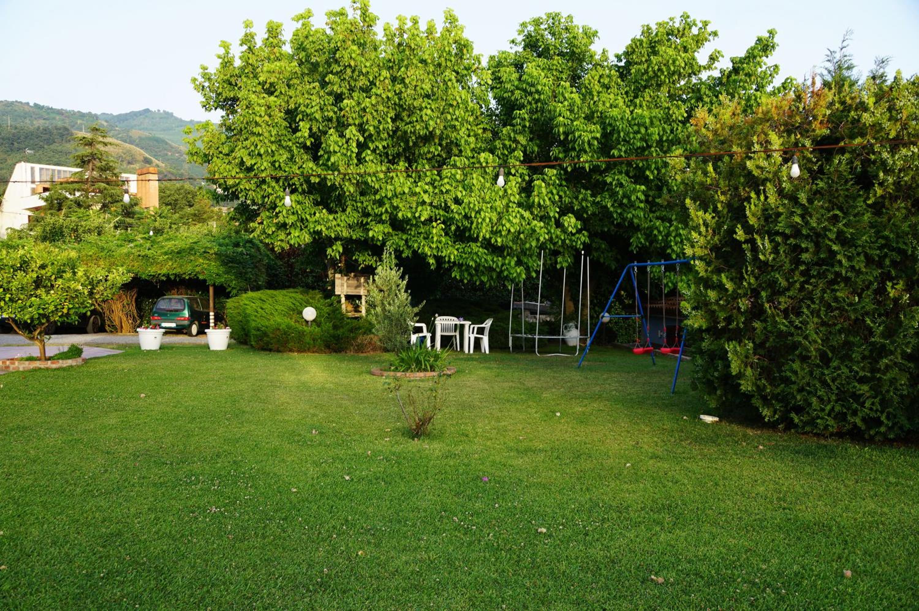 Photo 62