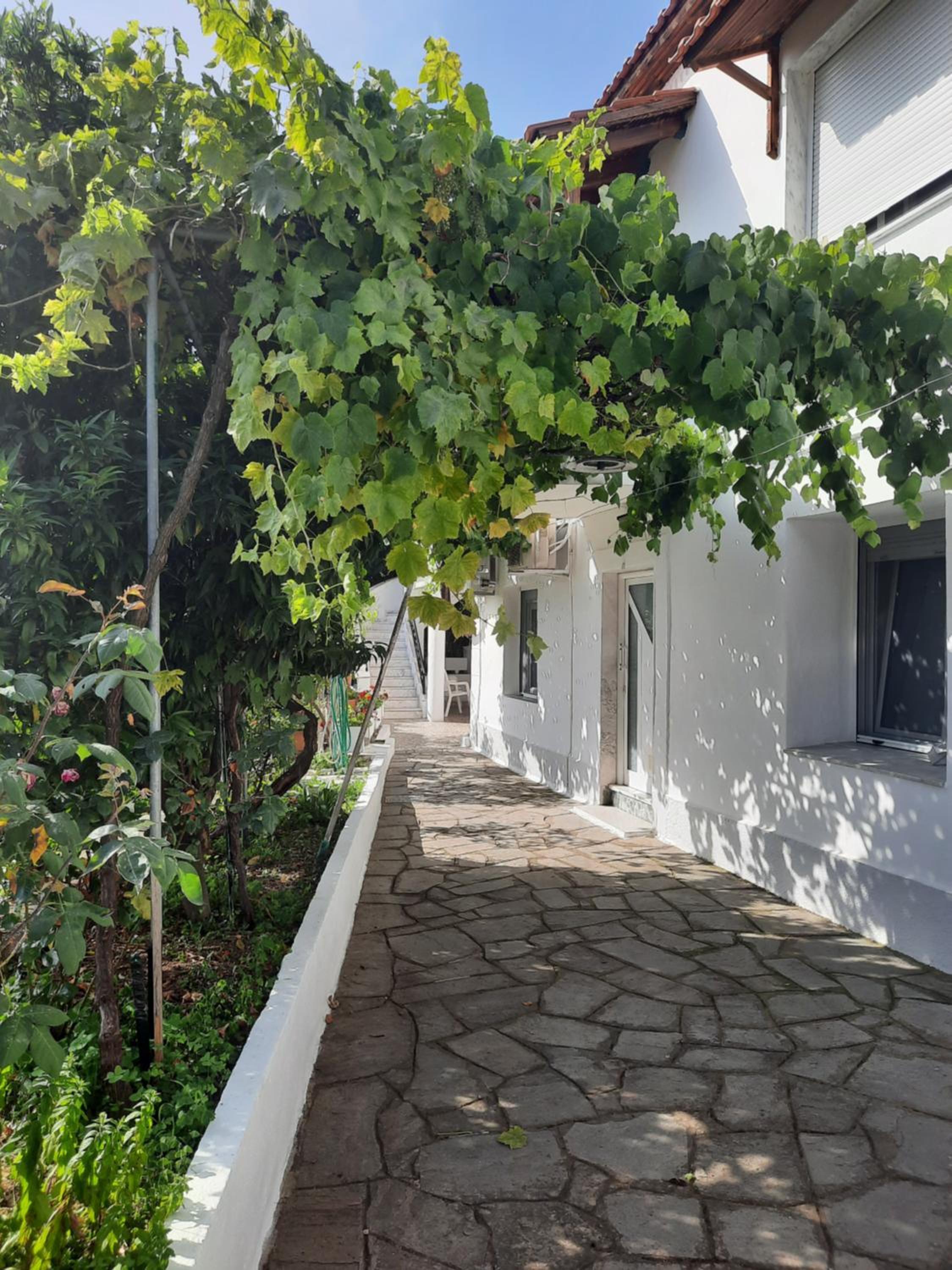 Vasilis Garden House