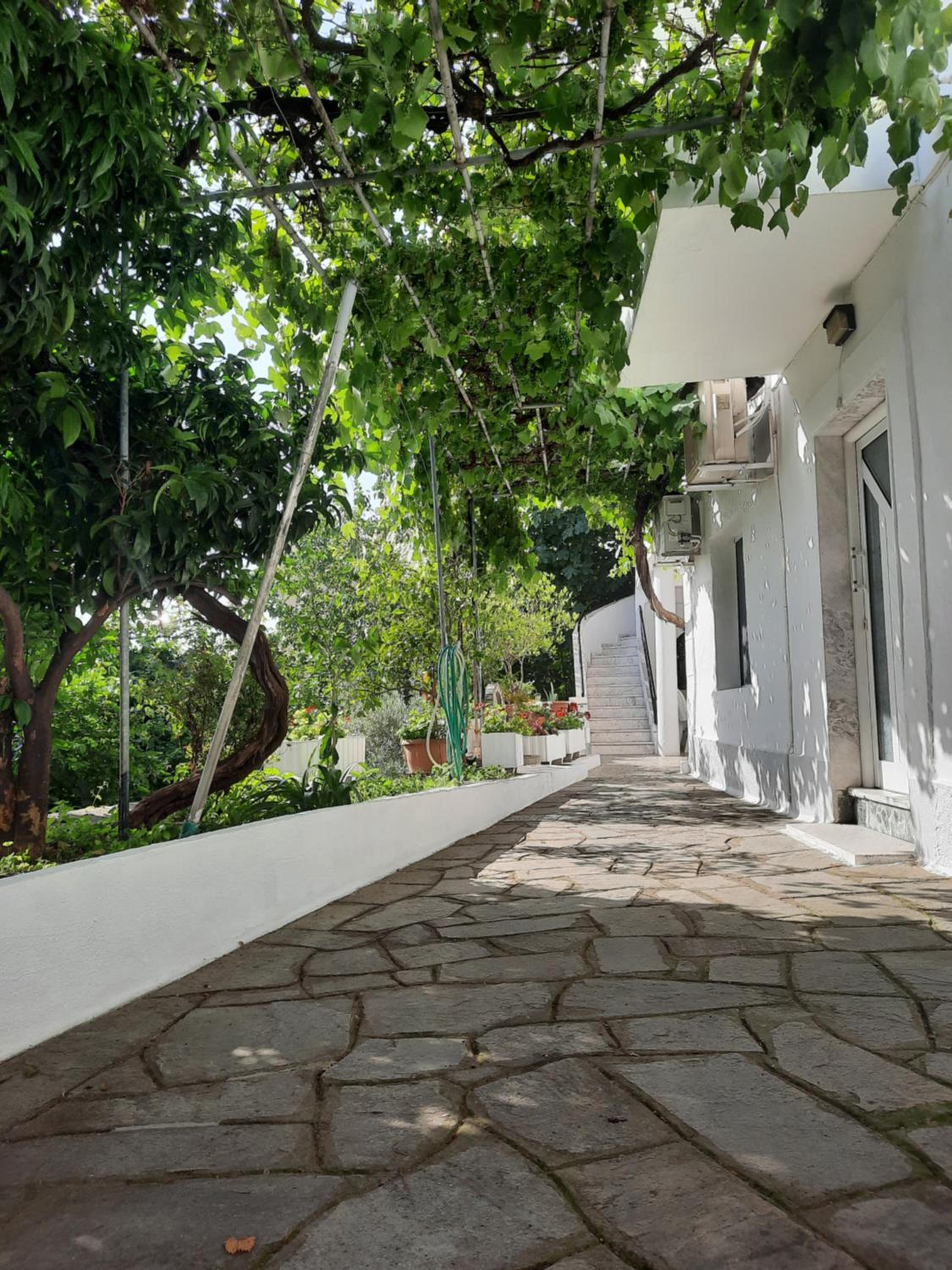 Vasilis Garden House