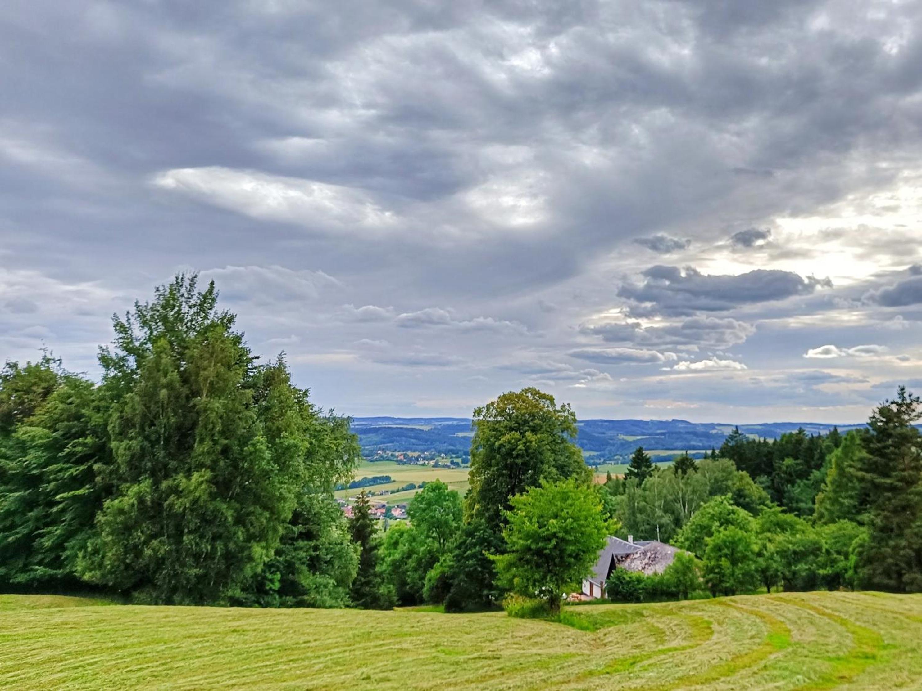 Chaloupka pod lípou