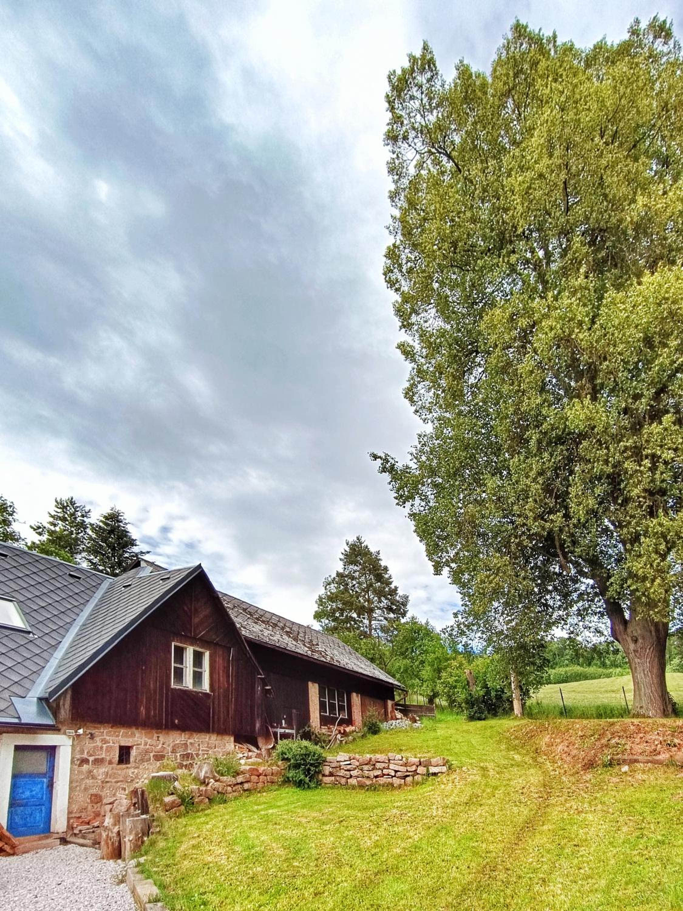 Chaloupka pod lípou