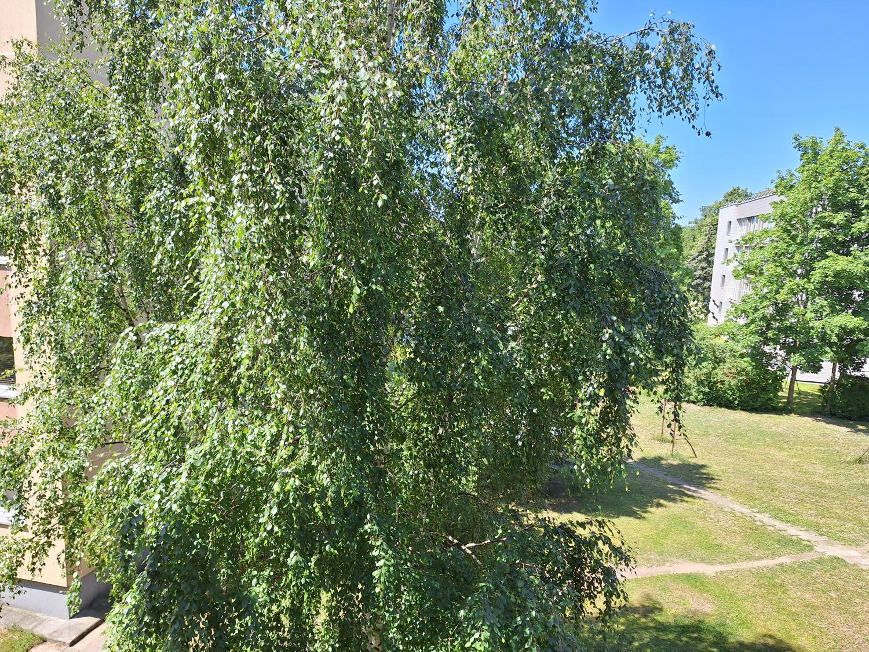 Ganyklos prie fontano