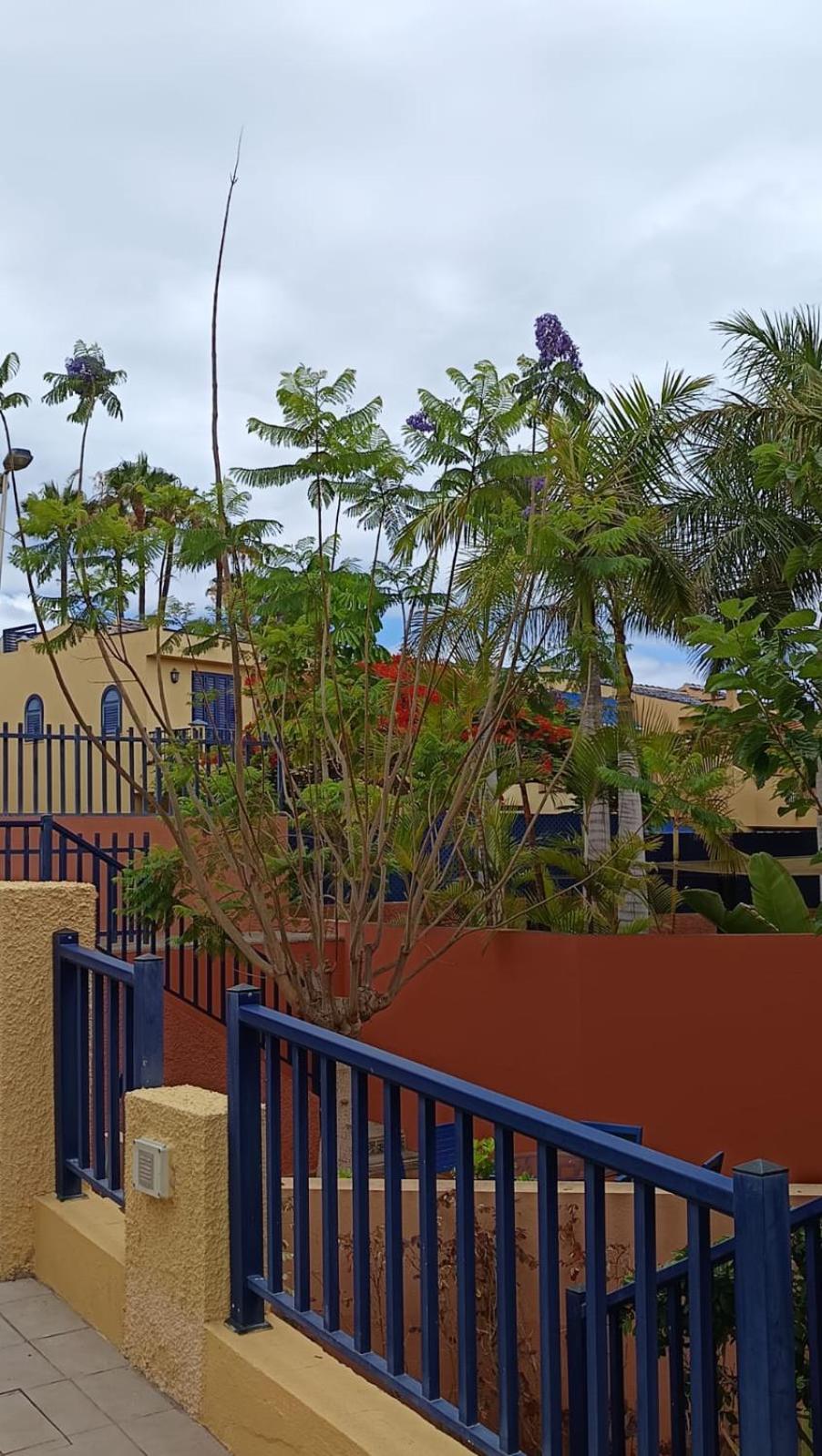 Villa Bahía Meloneras view 2