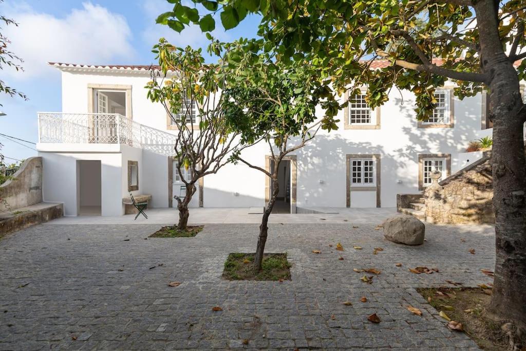 Quinta do Griffo view 3