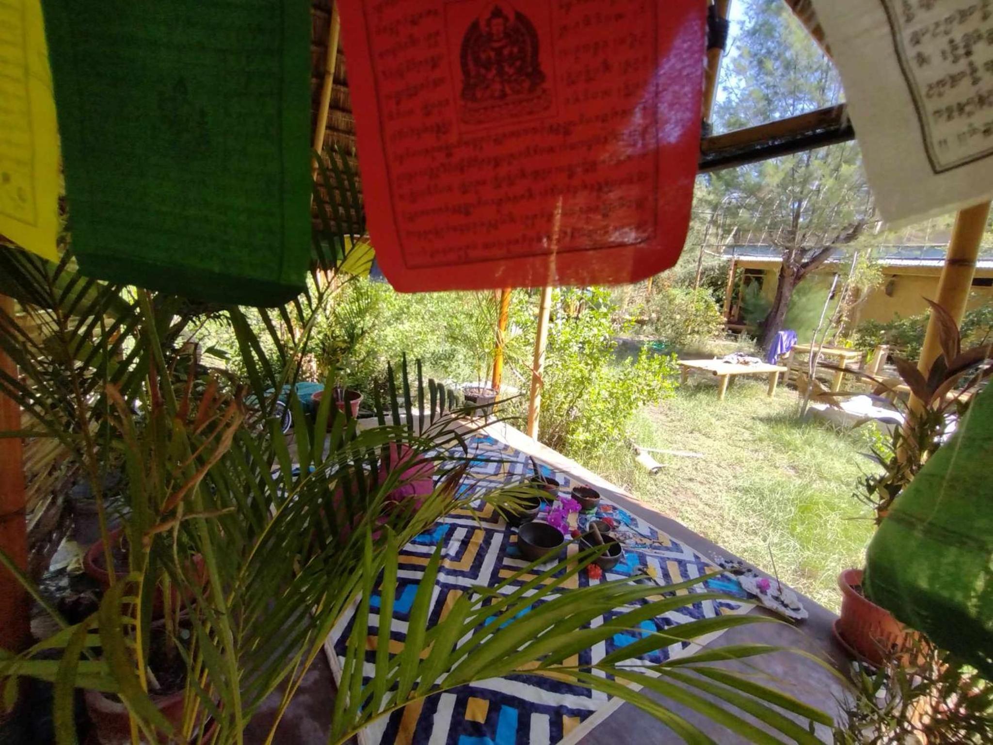 Photo 15