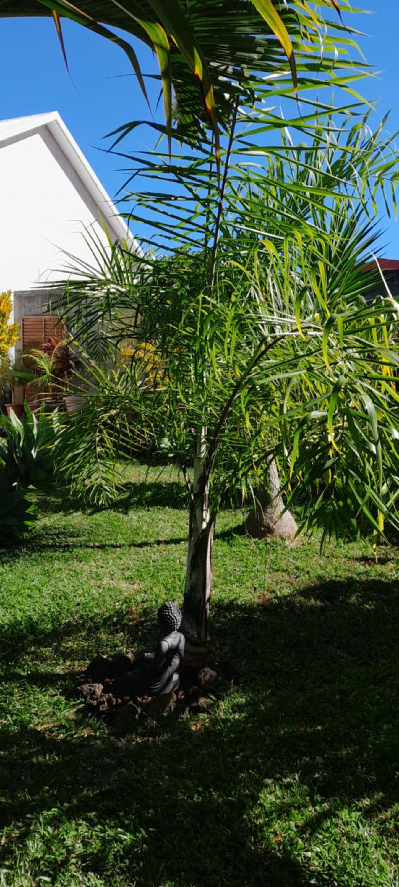 Photo 49
