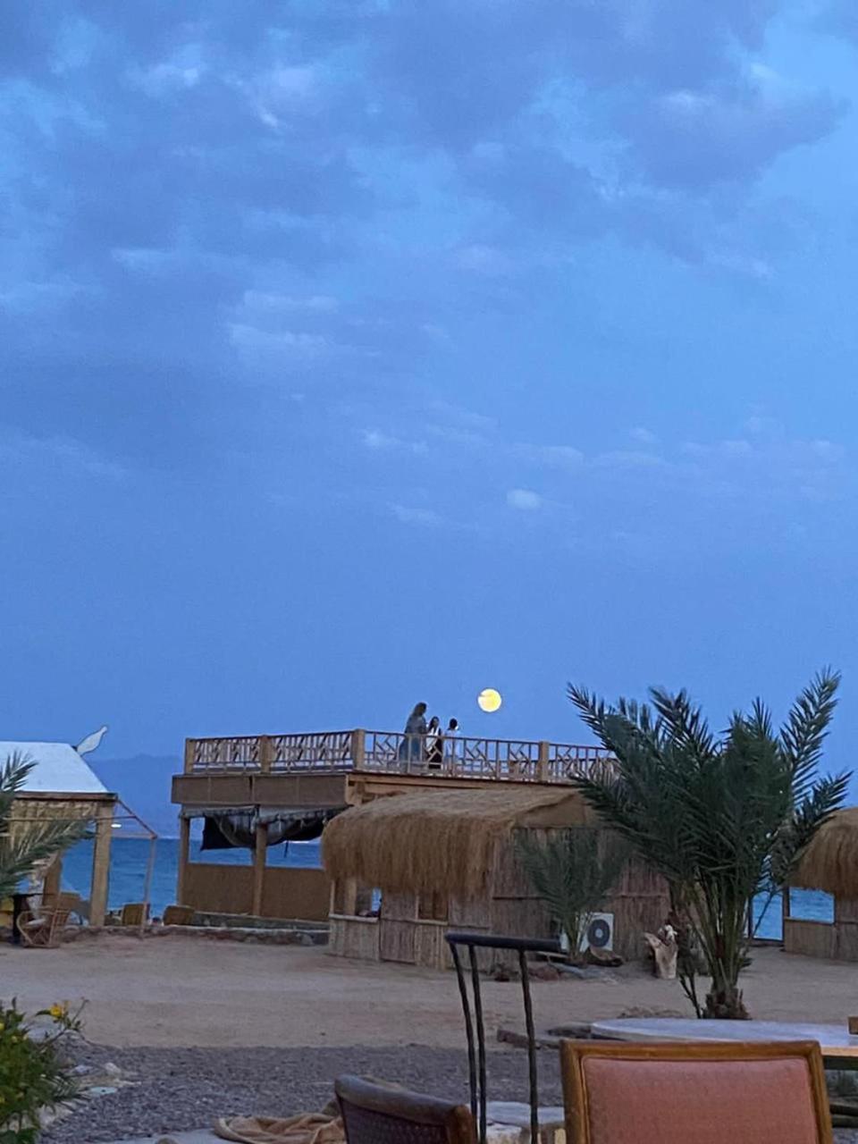 Friends Camp