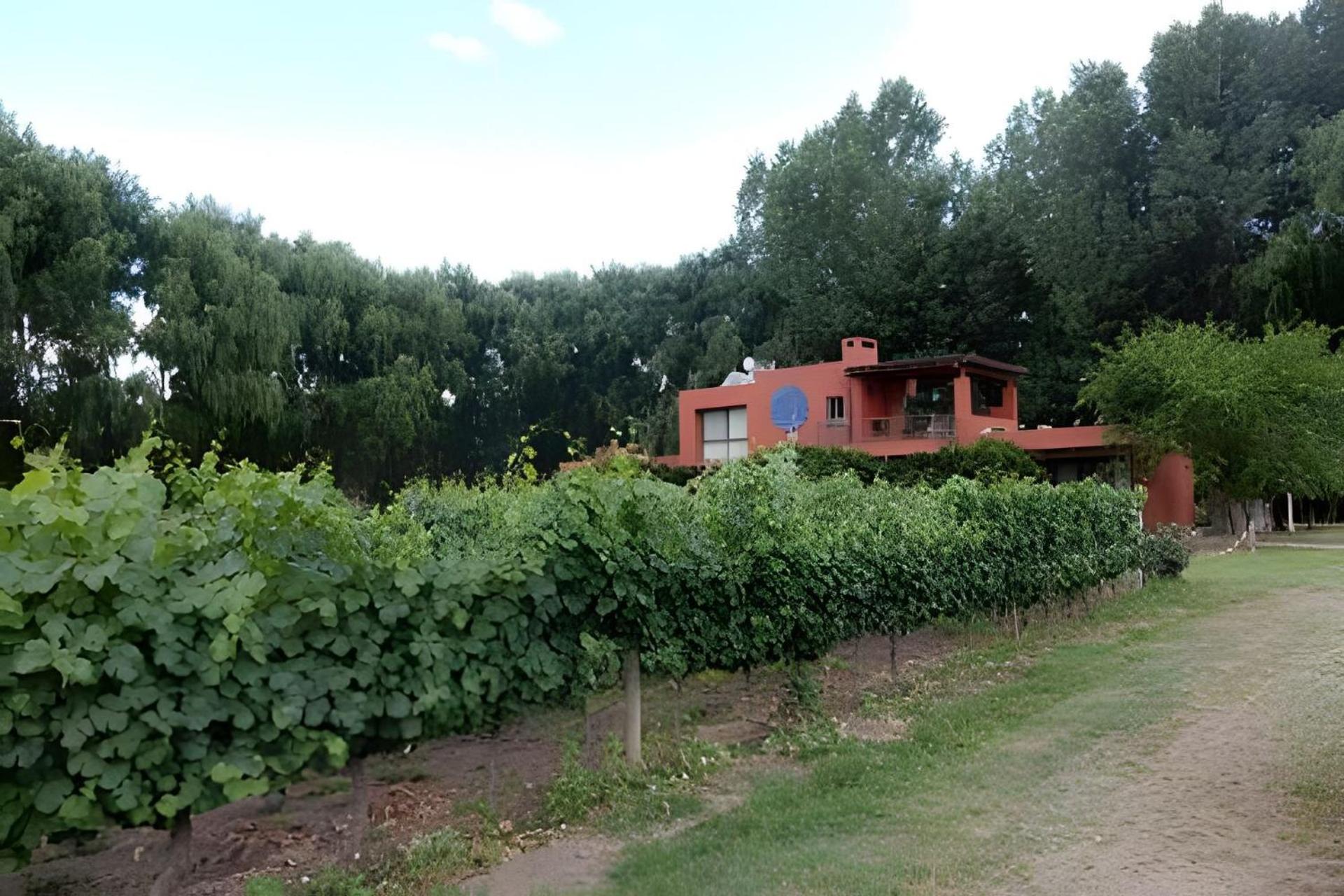 Finca Ogawa