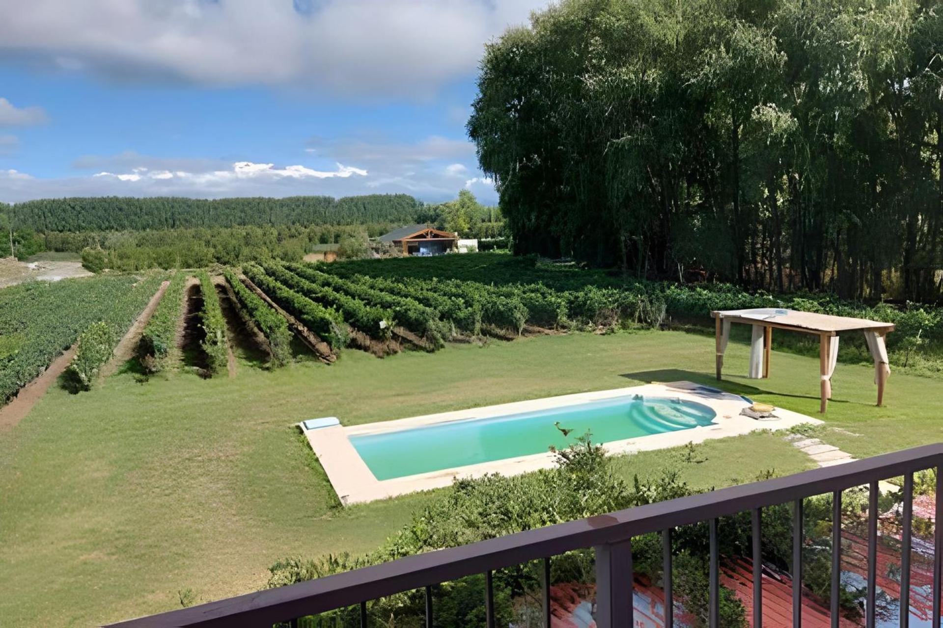 Finca Ogawa