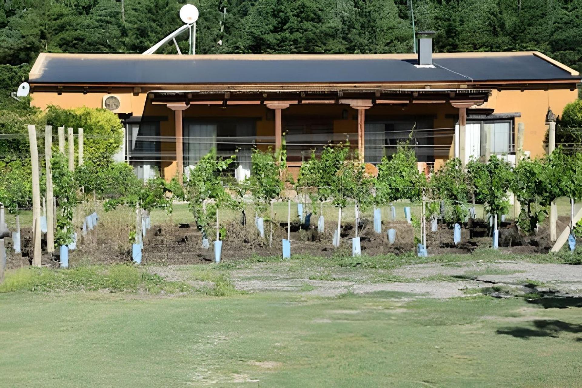 Finca Ogawa
