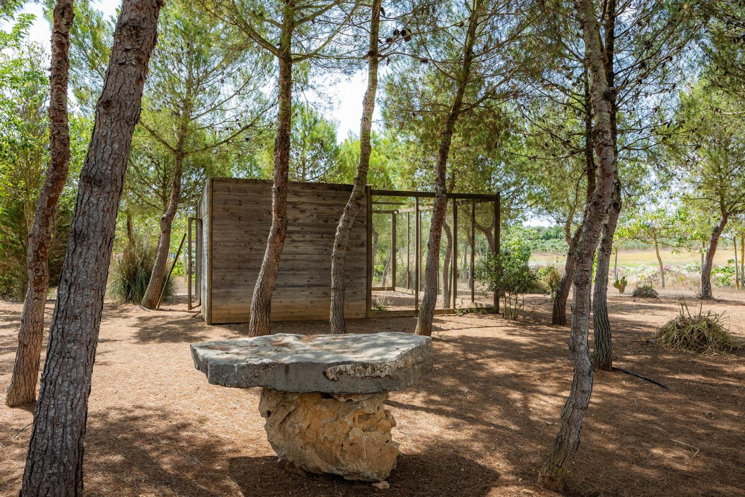 Finca Conies Romaní