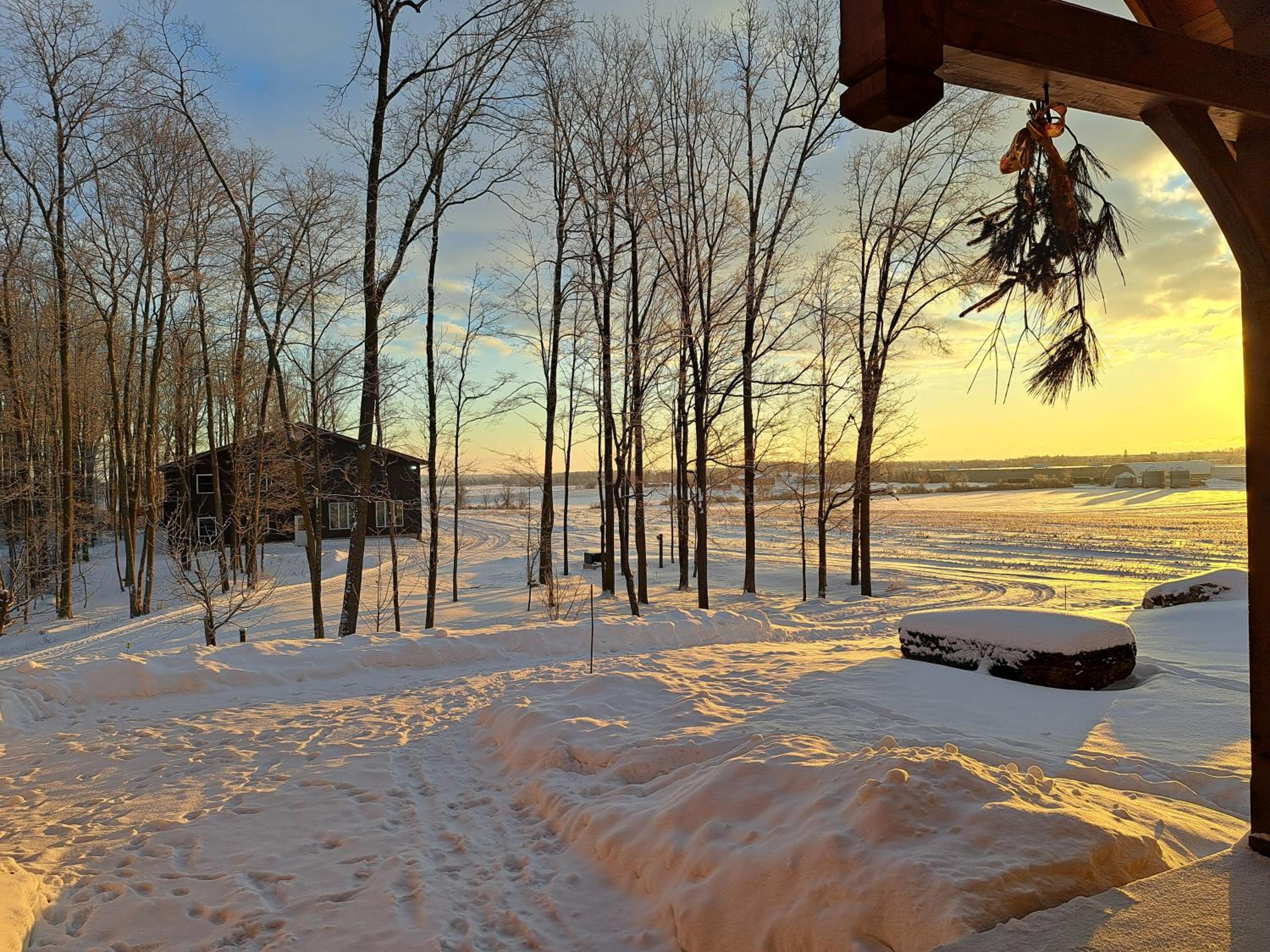 Luxury farm Stay, Alexandria