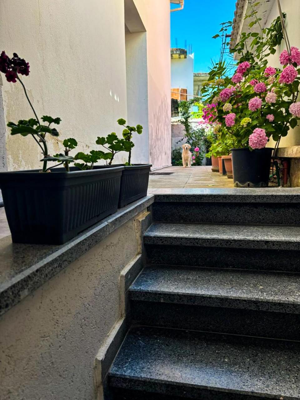 Garden One Bedroom Apartment