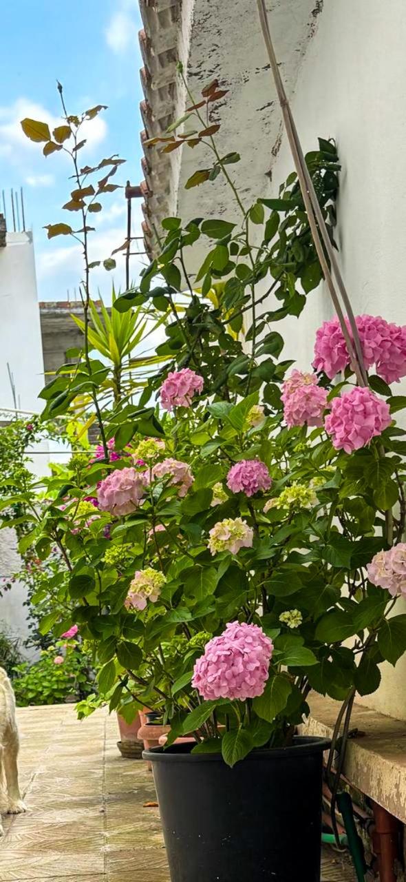 Garden One Bedroom Apartment