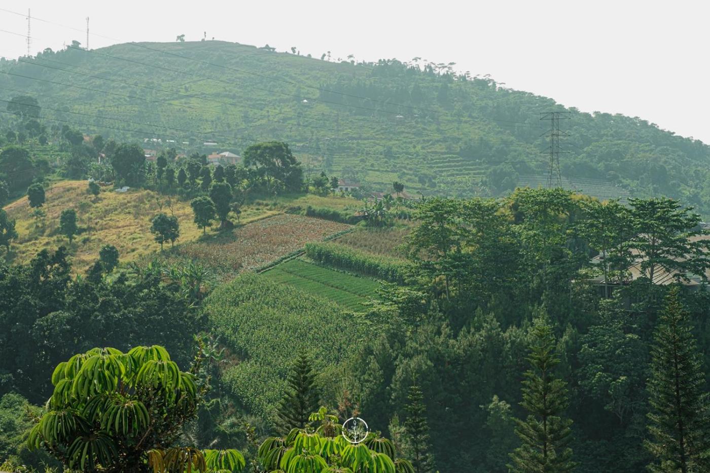 Morning Glory Mountain View Villa 4 Bedrooms With a Private Heated Swimming Pool