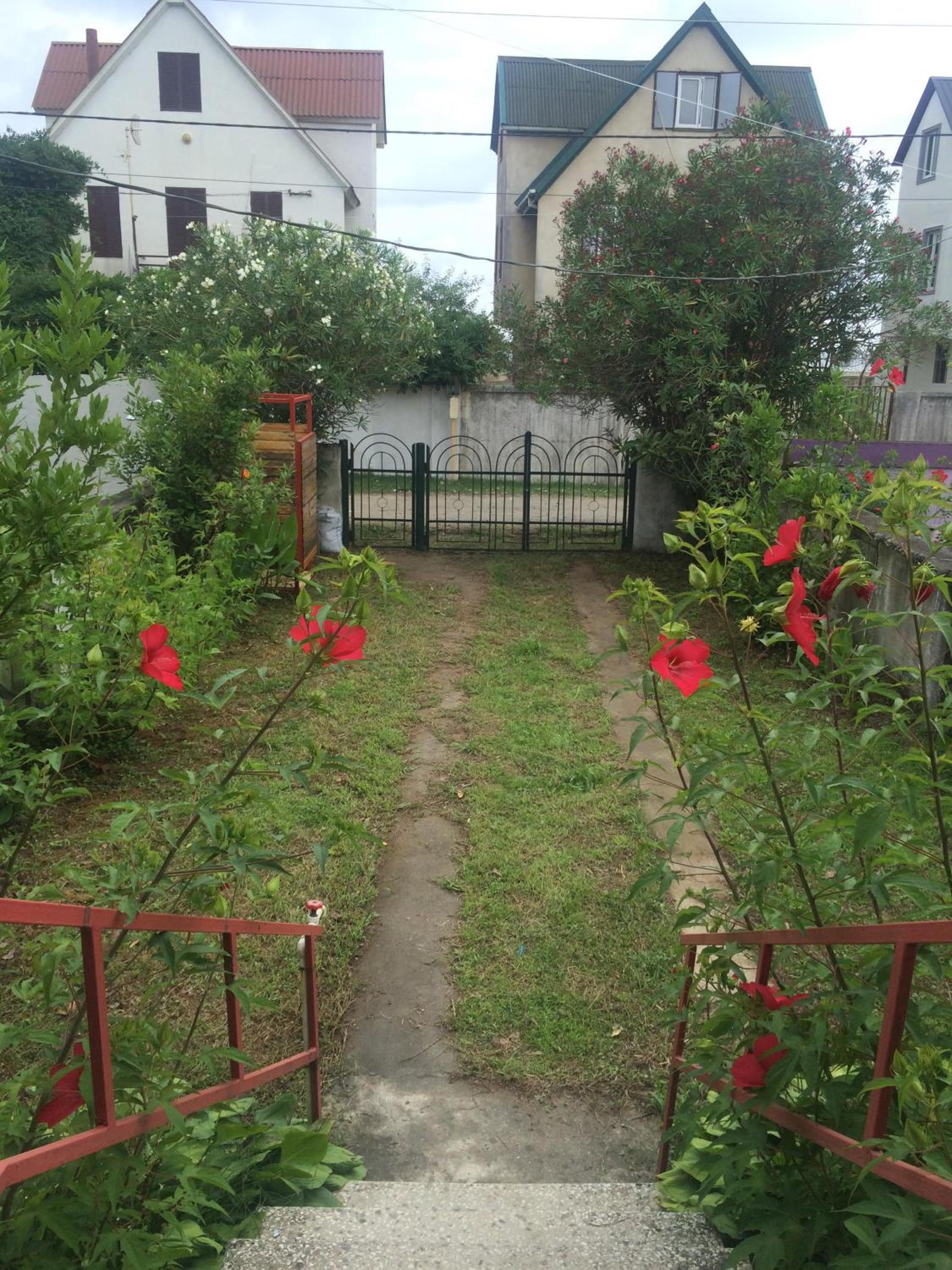 Photo 8