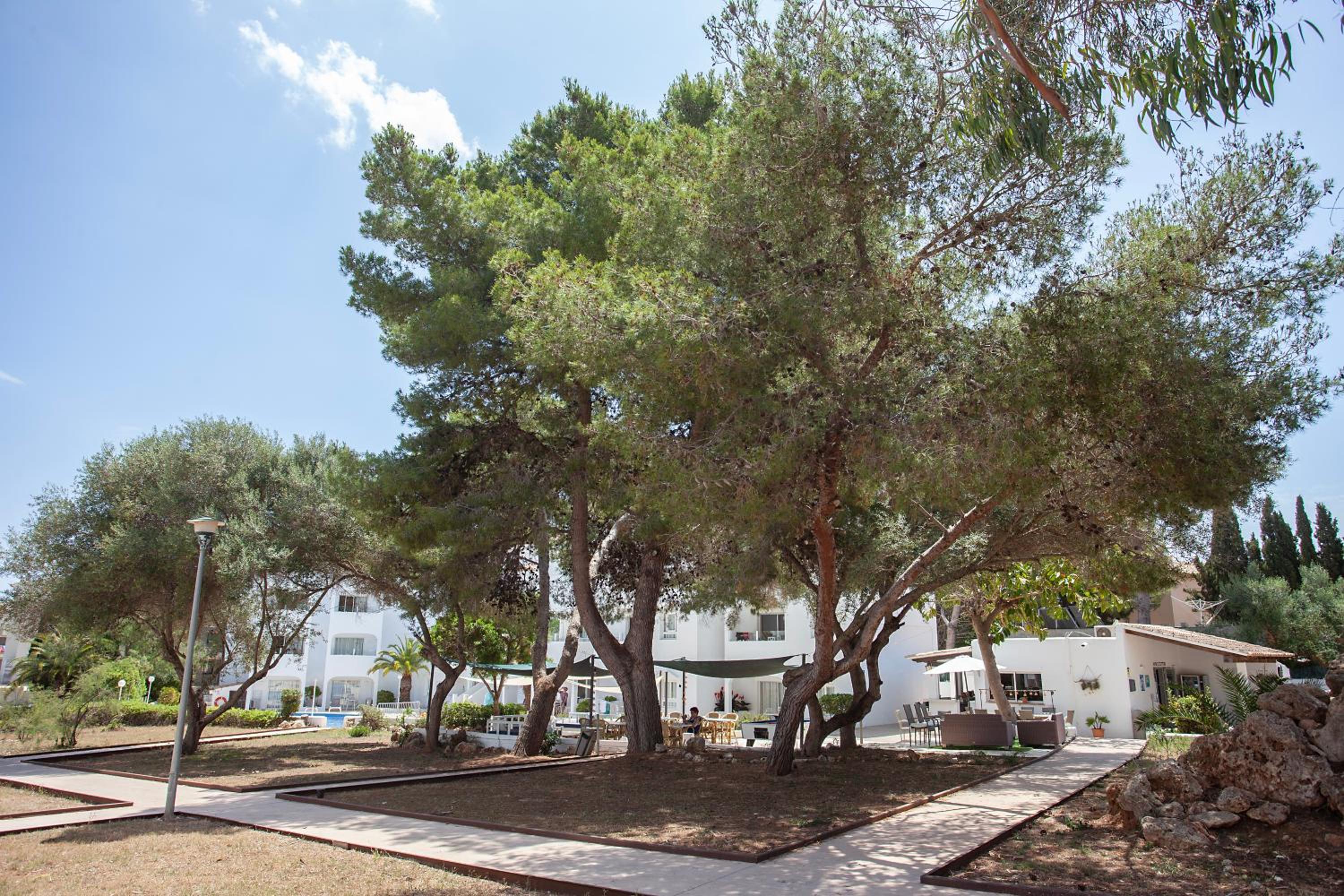 BJ Apartamentos Europa