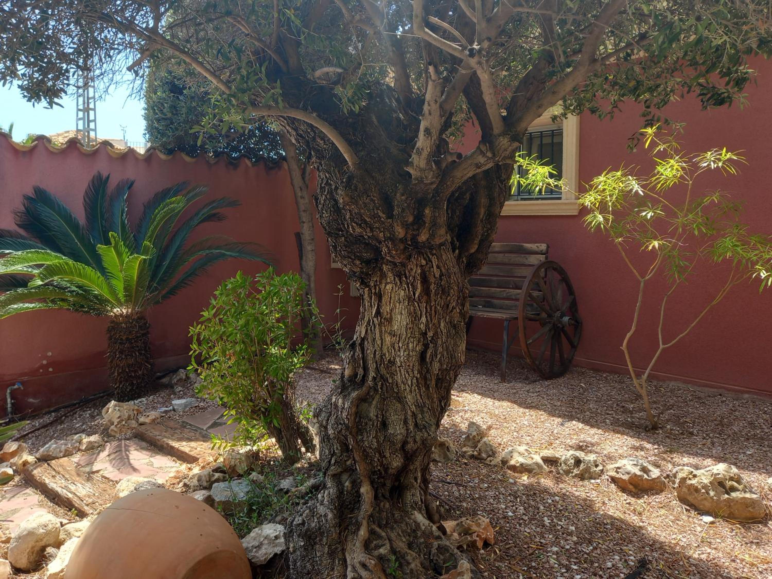 Villa Anna-Altea