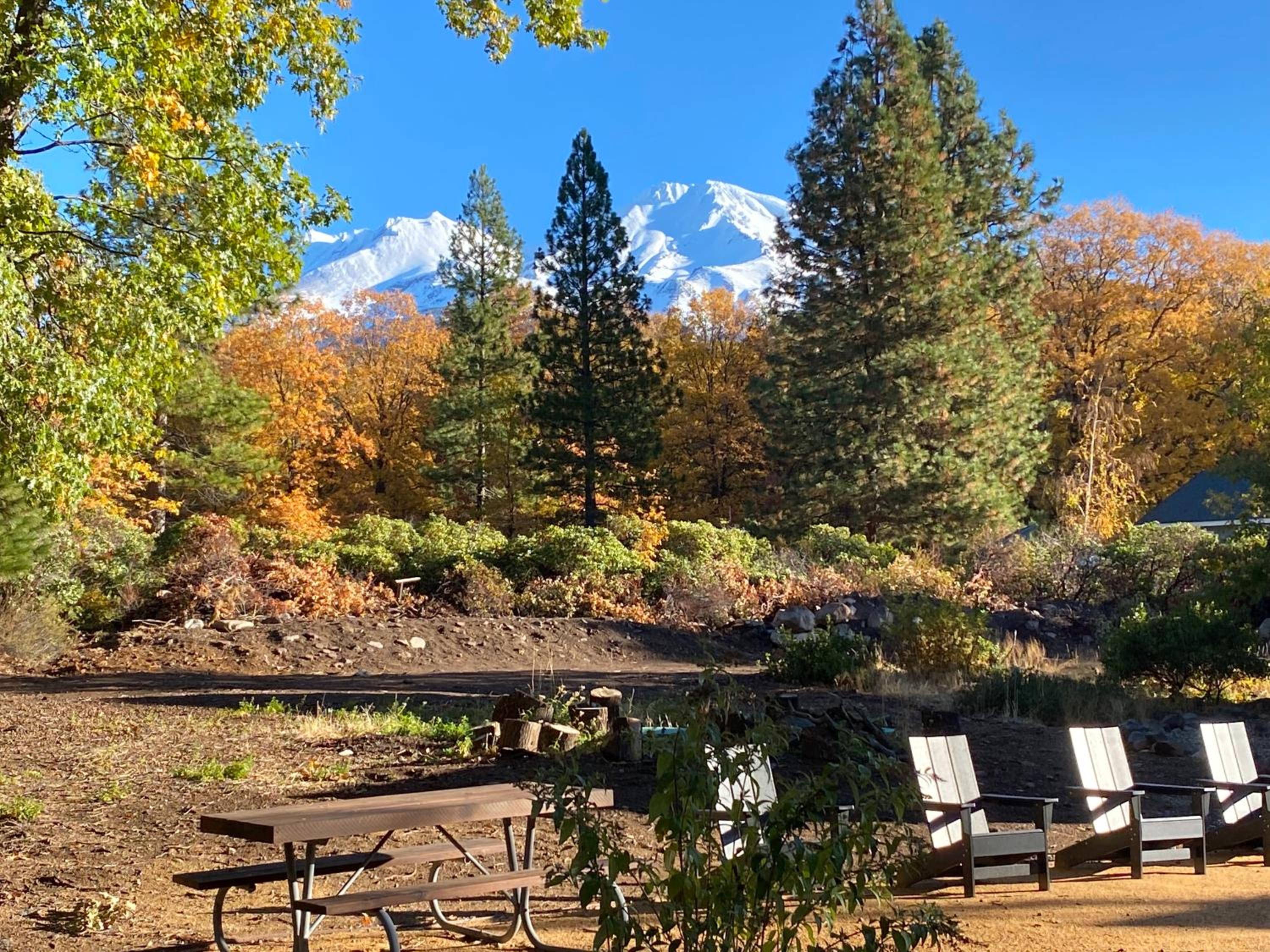 Basecamp Lodge
